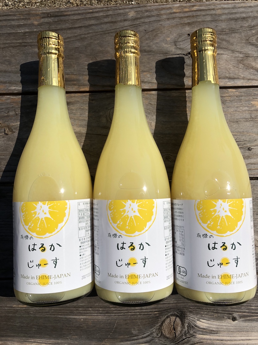 そろそろはるかジュースが出来上がりますよー🍊
