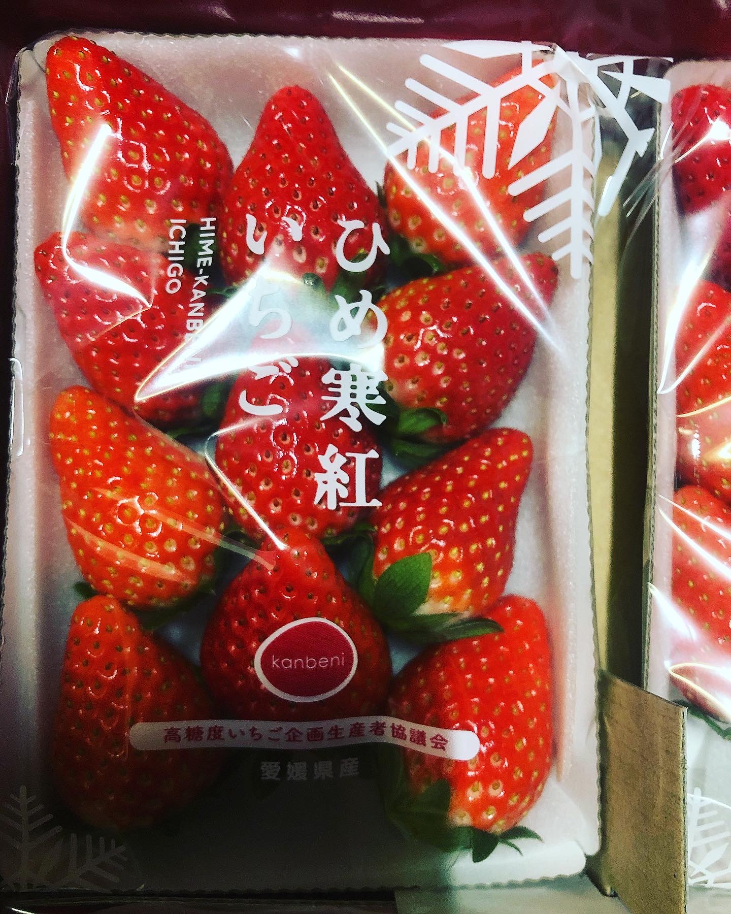 ひめ寒紅いちごのネット販売開始！