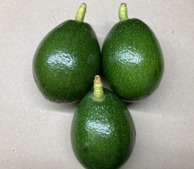 あっという間でした💦🥑