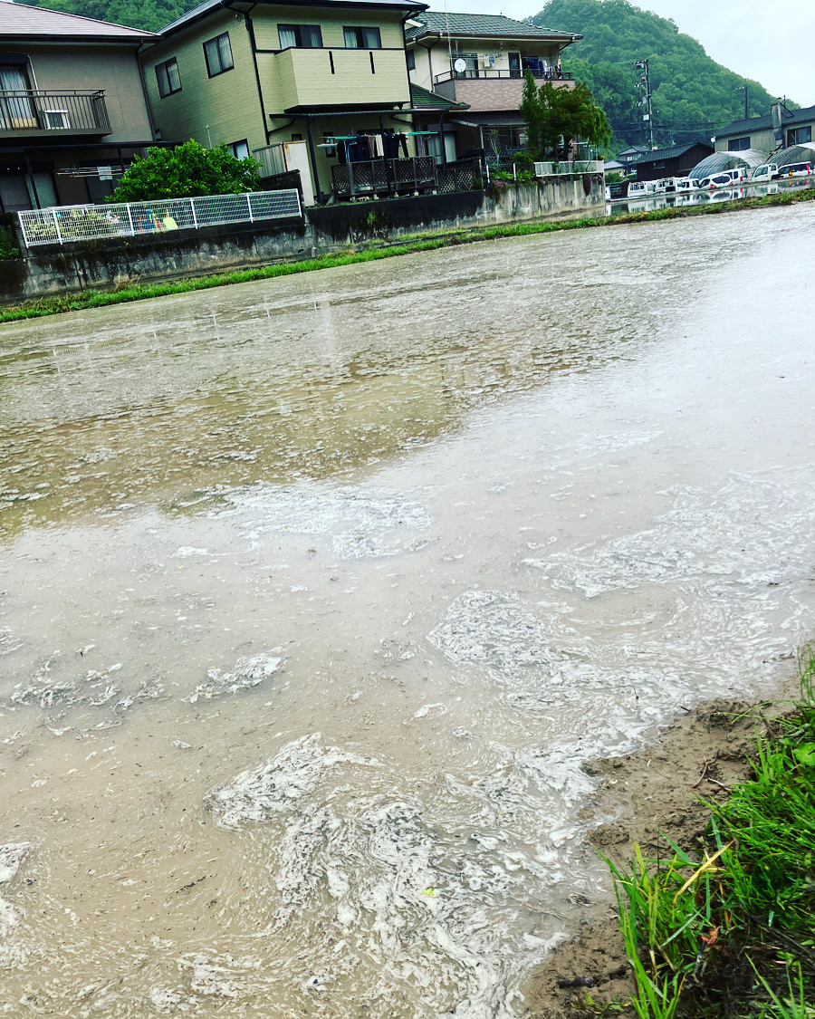 間も無く田植え開始🌾