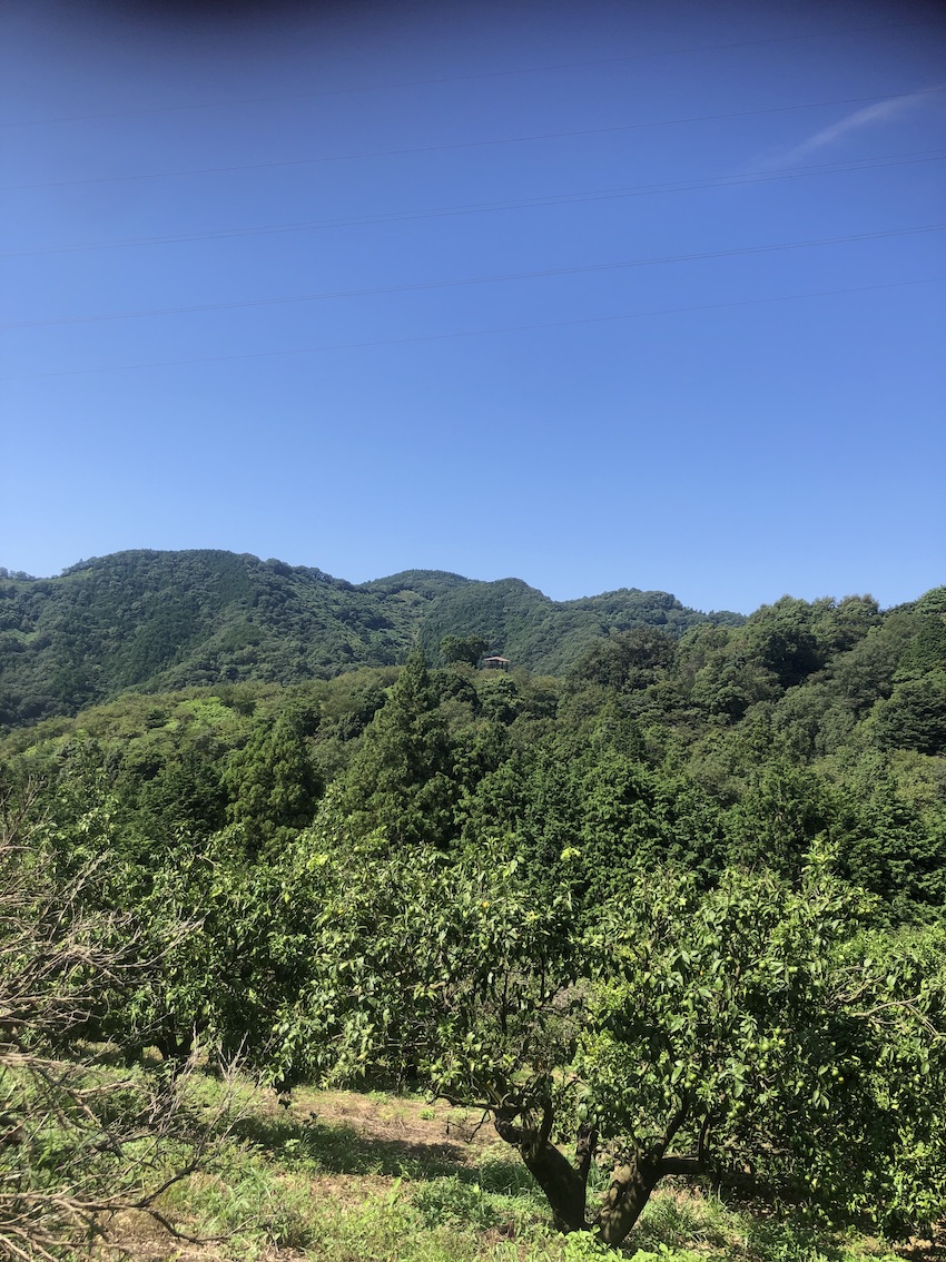 やっぱり暑い🥵