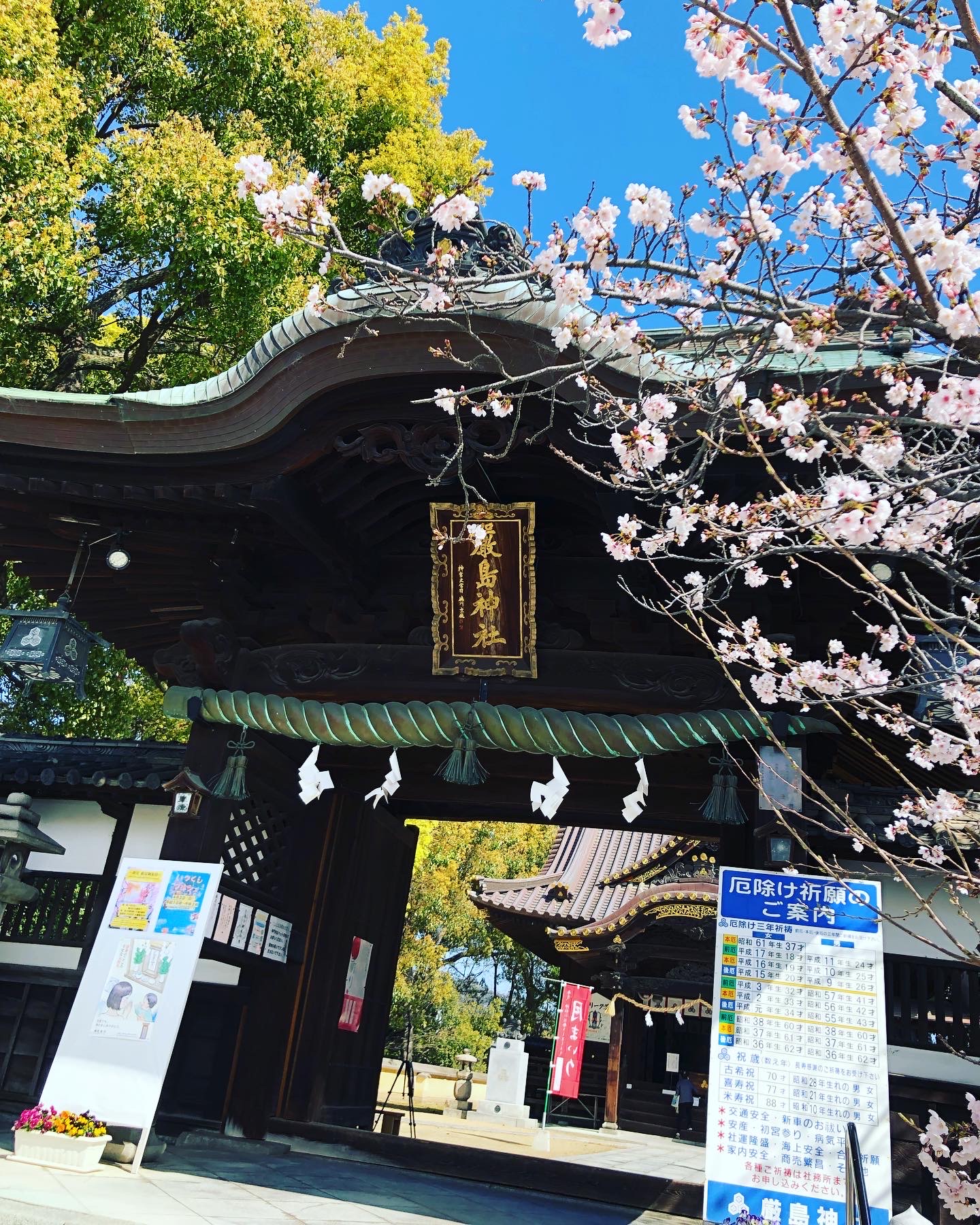 本日はいつくしマルシェに出店✨