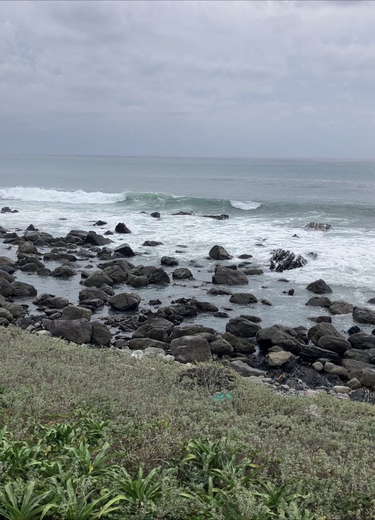 ニッポンの夜明けぜよ🌅⚔️🌊