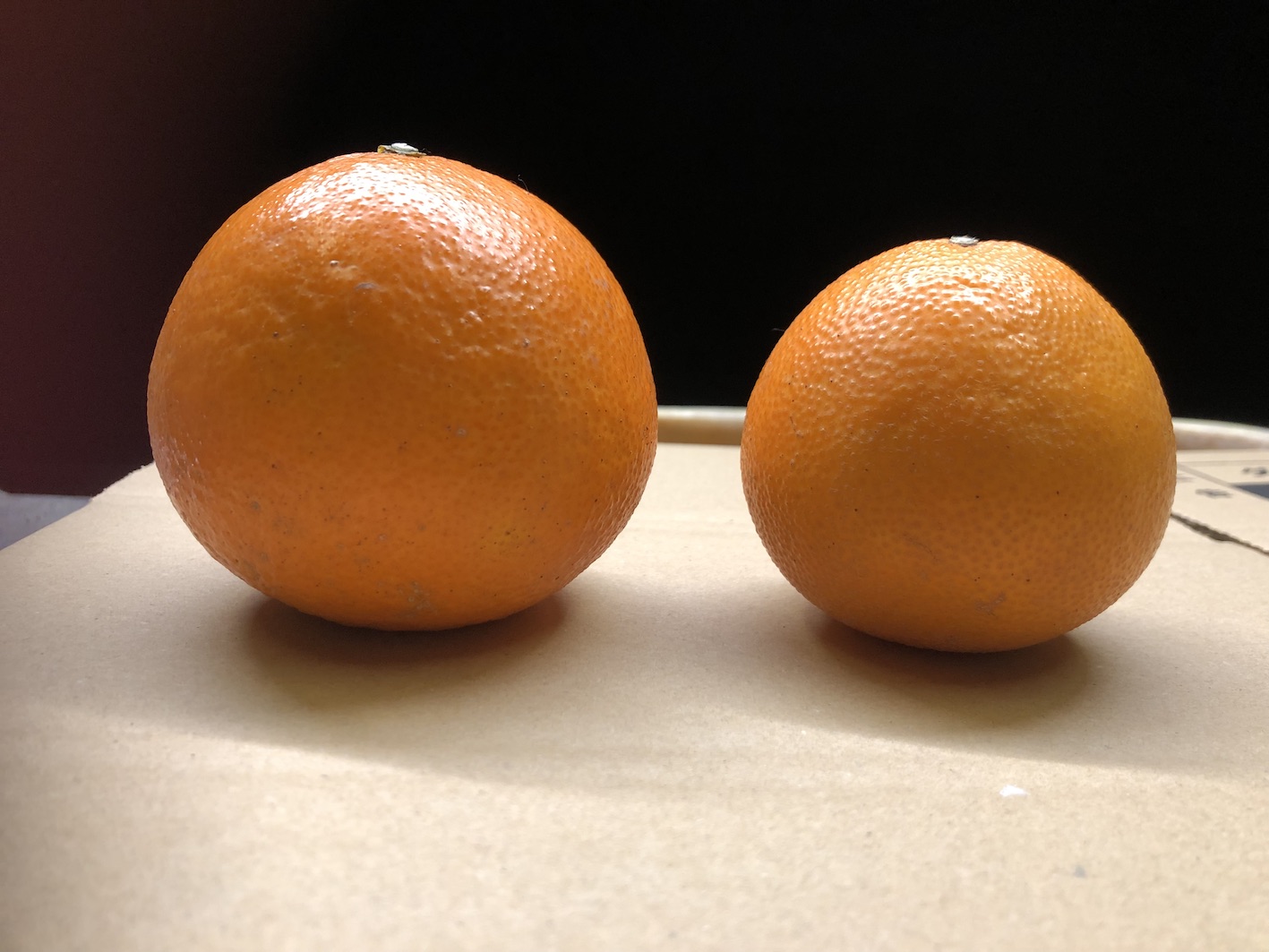 ふぞろいのこまどんなたち販売🍊♪