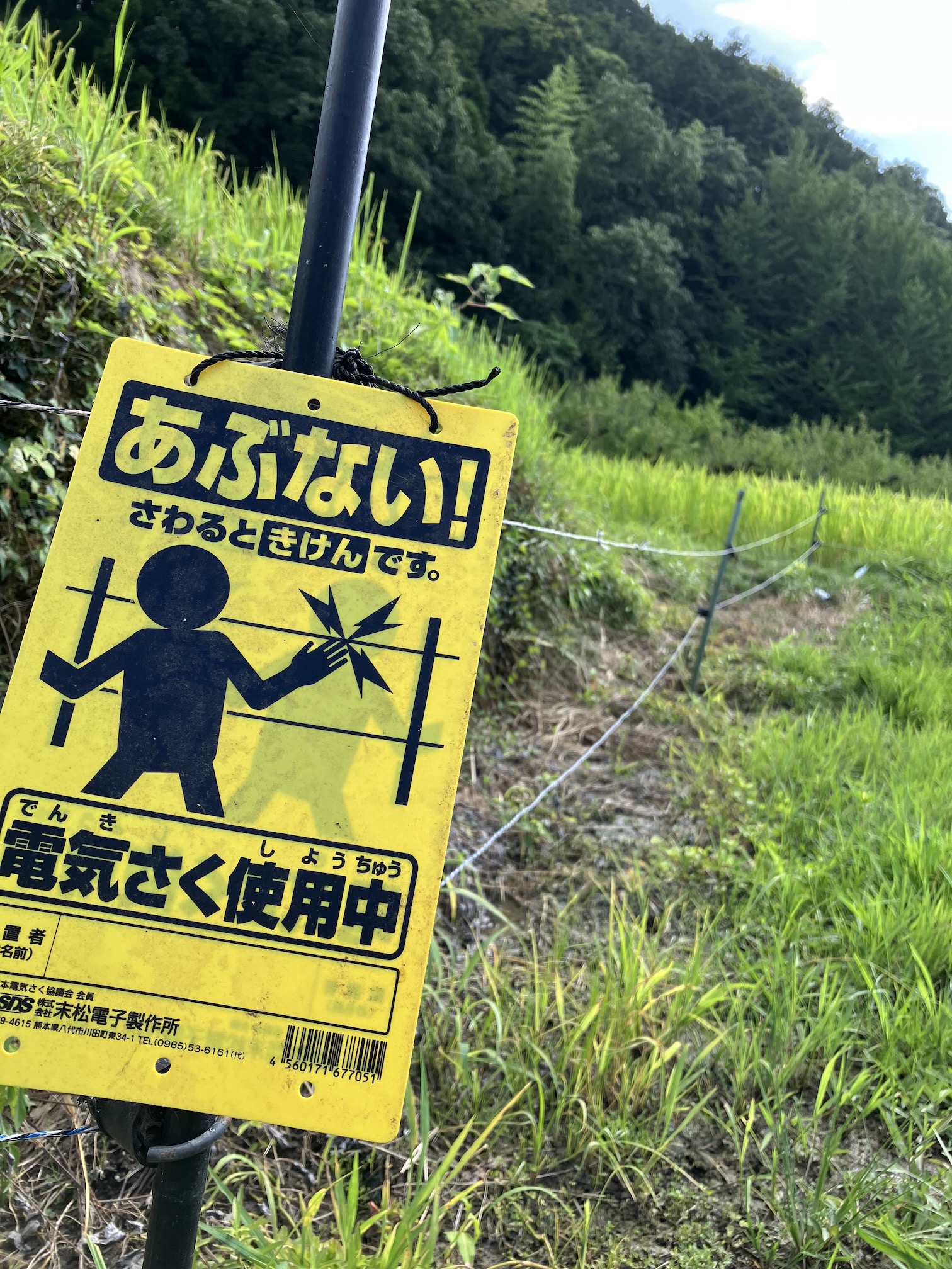 まだ入っていません！