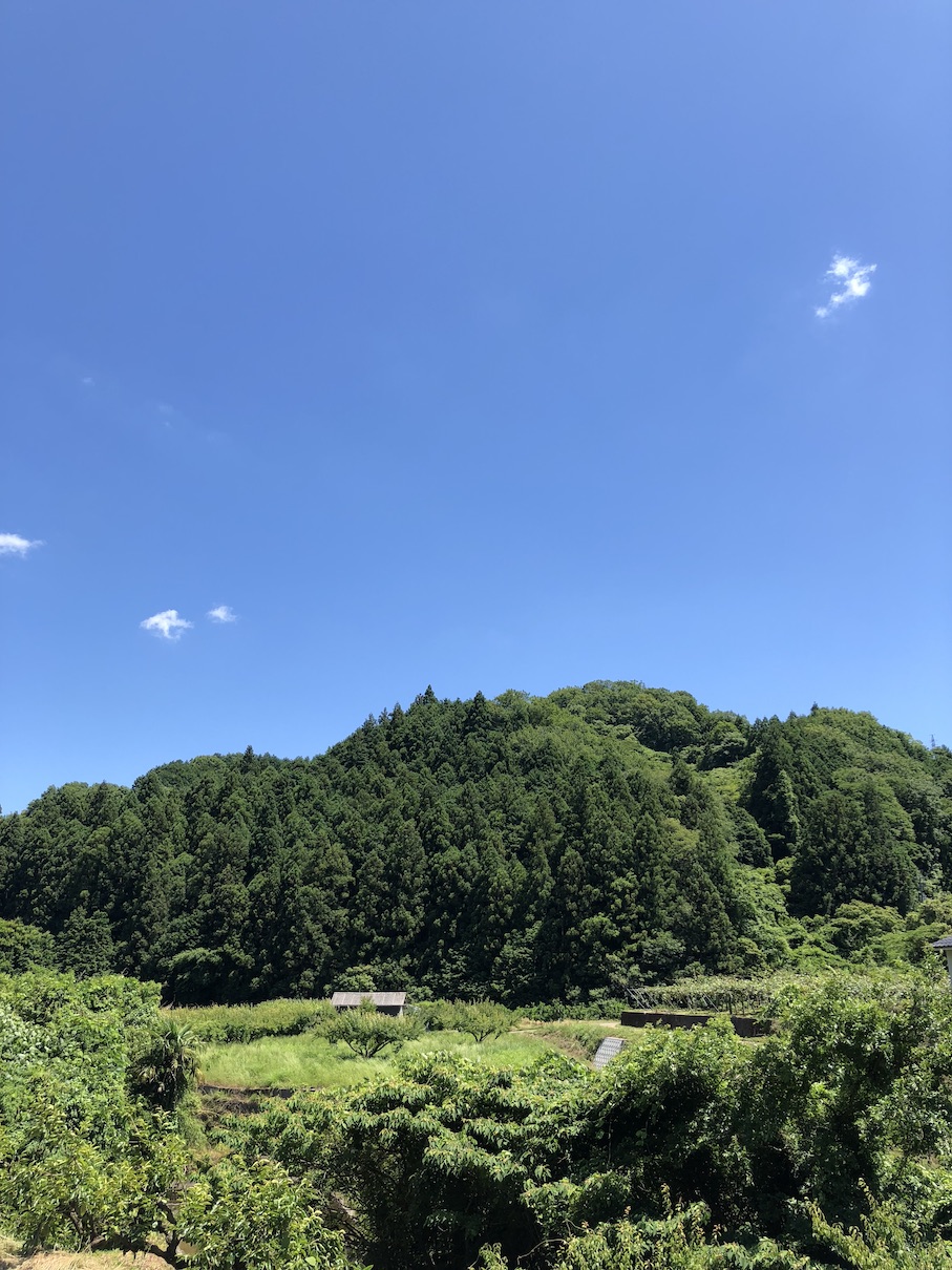 明日には梅雨明け！？