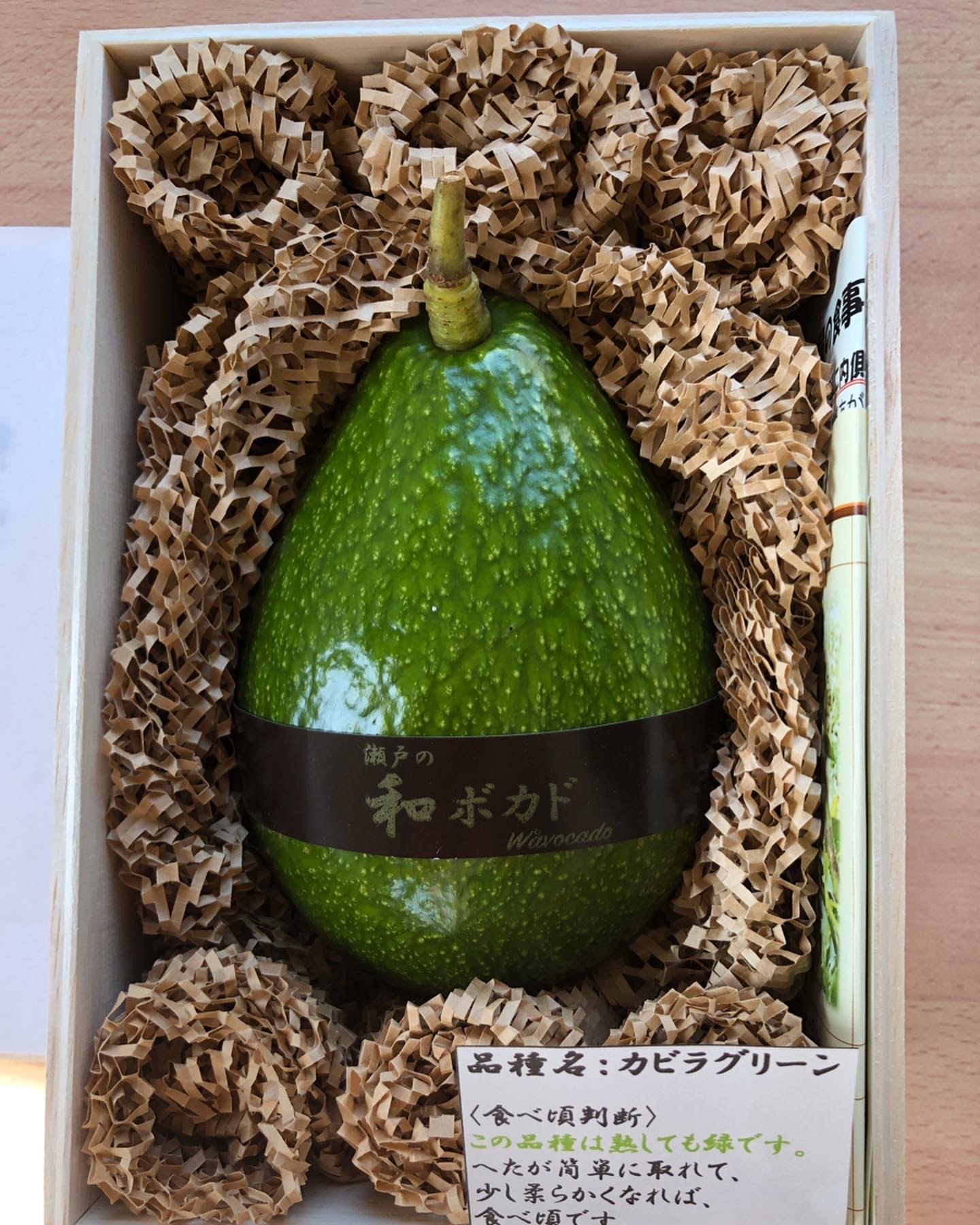 国内初販売！？