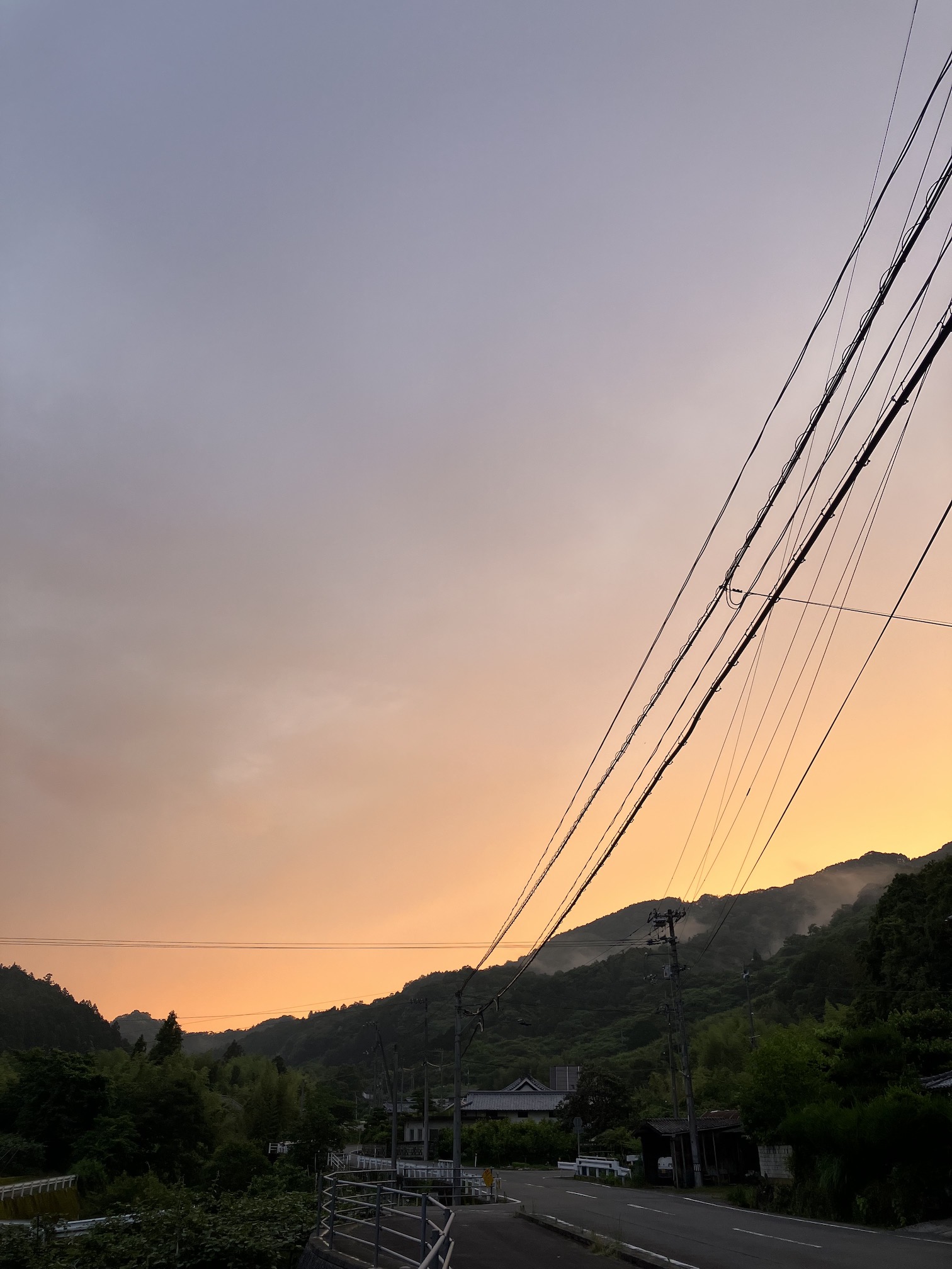 少しずつ夏が🌆