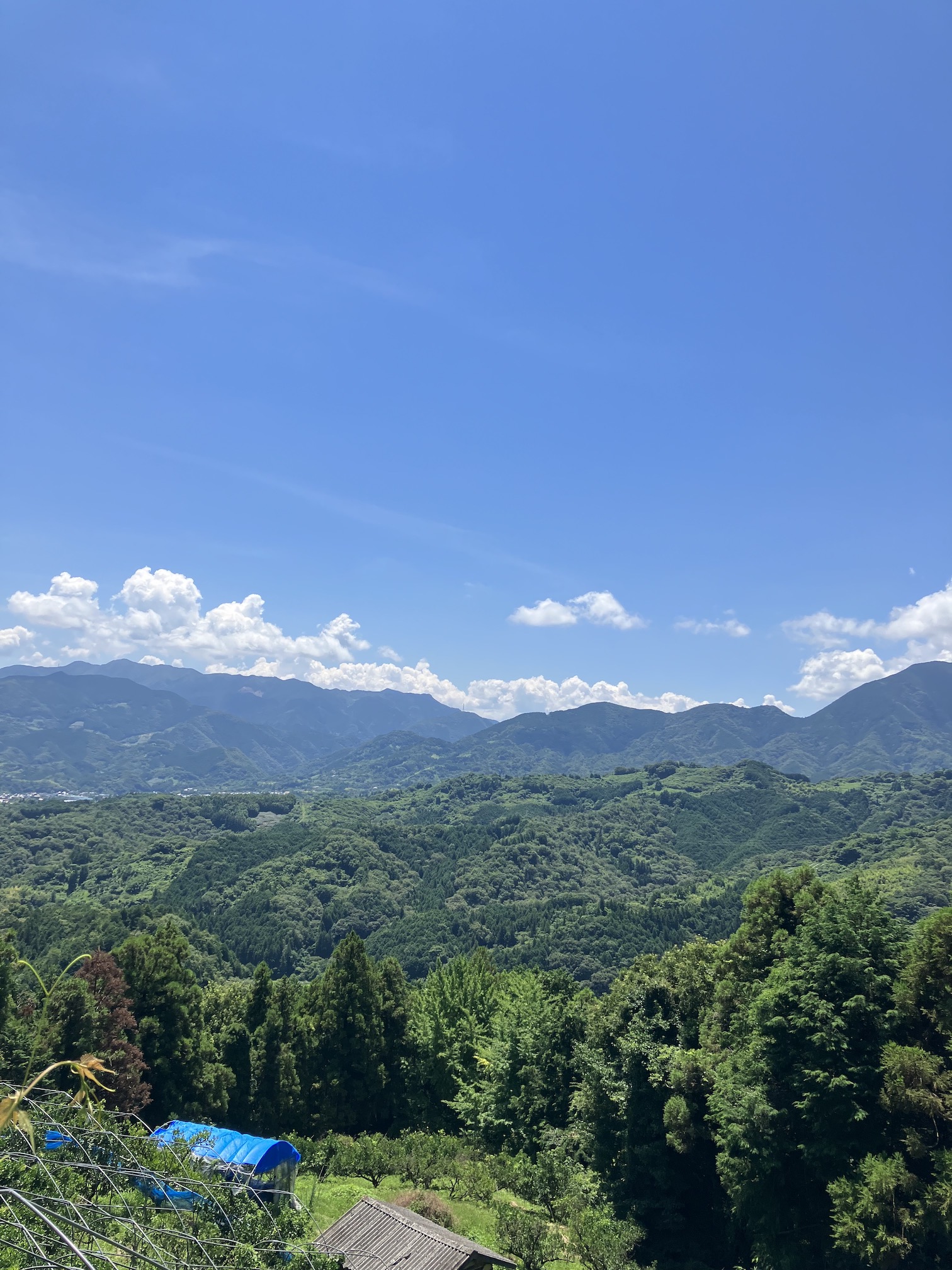 急に梅雨明け☀️