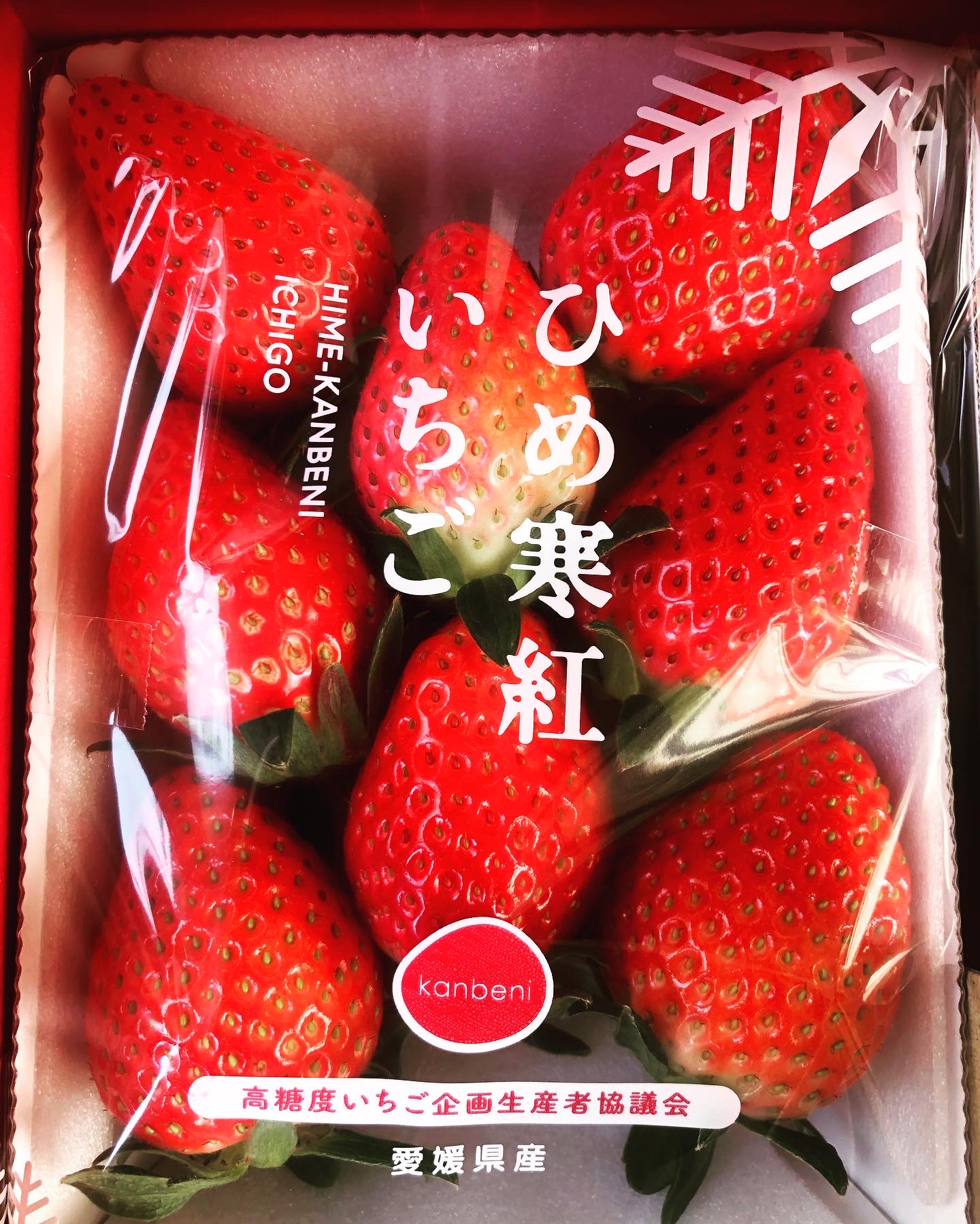 今年もこの季節がやってきました🍓