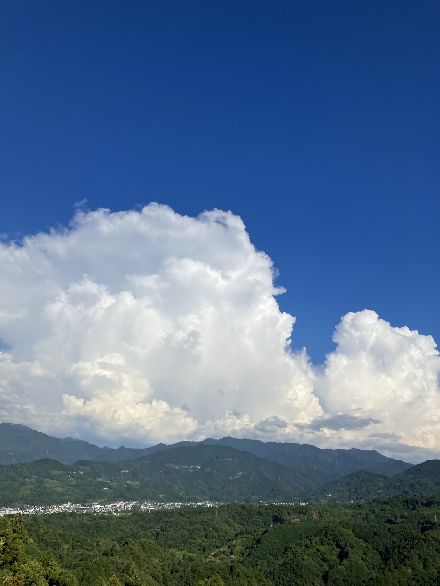 夏の空🌻✨
