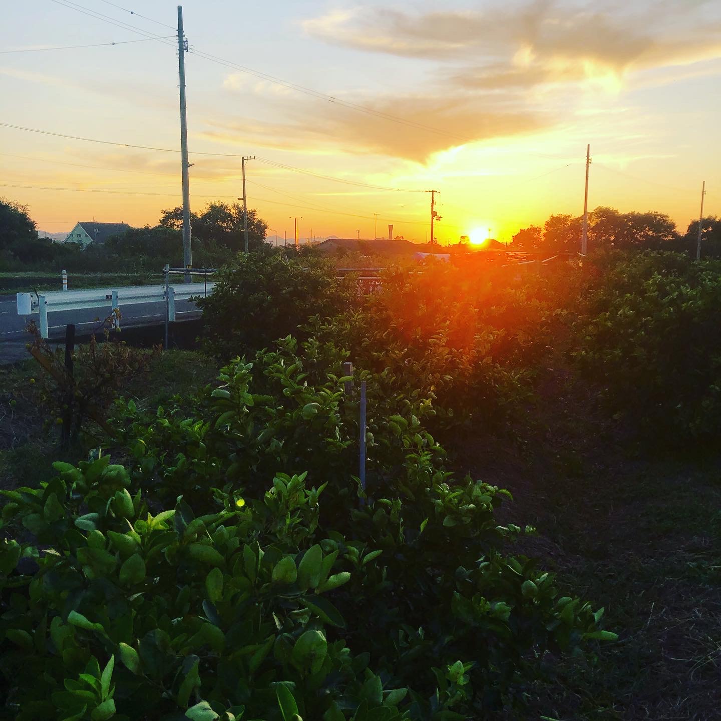 夕日が沈む時