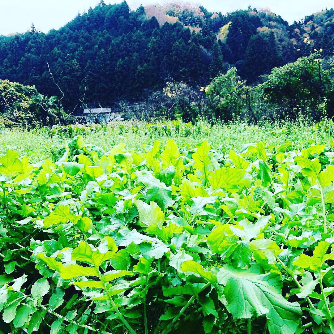 食を通じて命の大切さを伝える