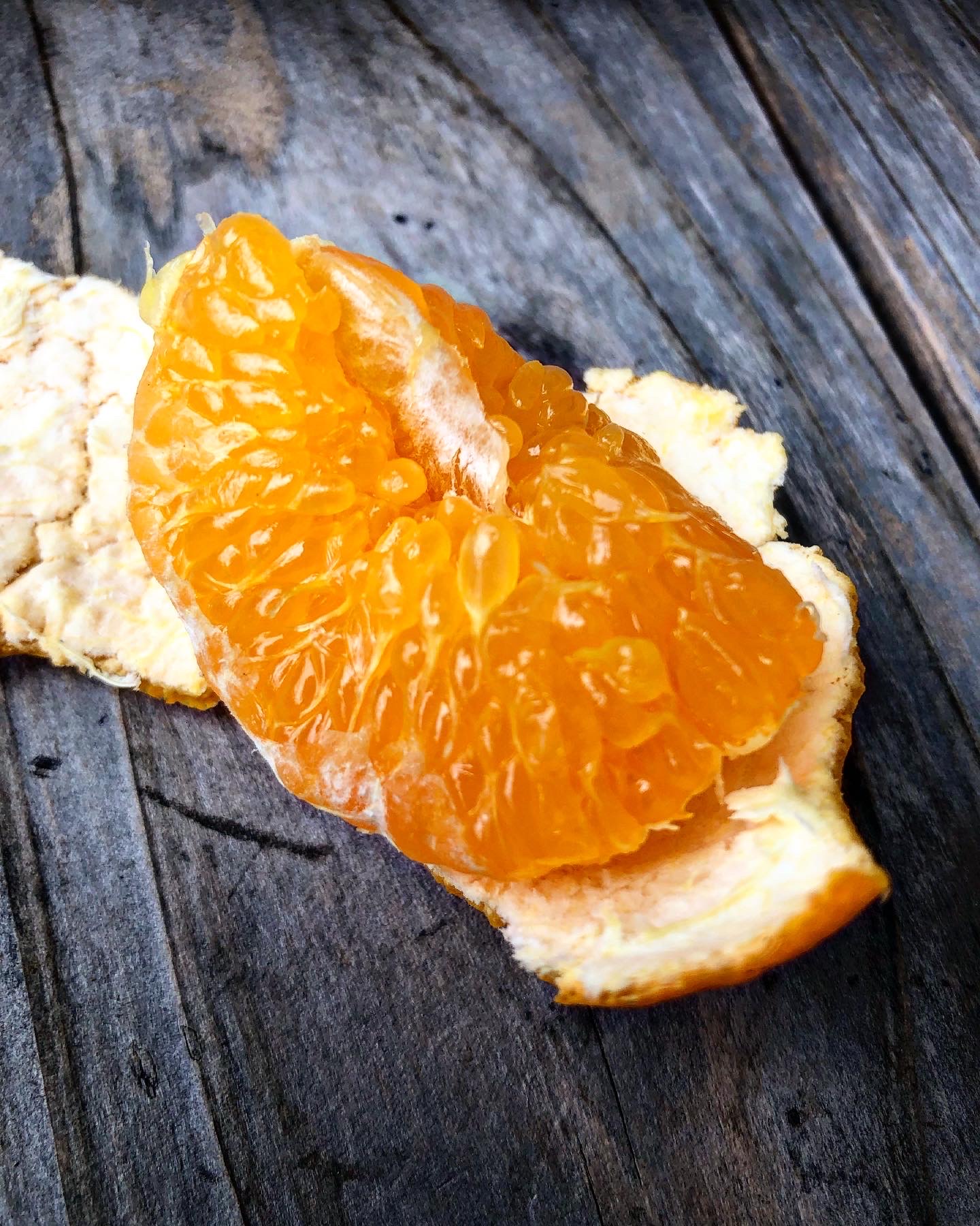 はるみちゃん販売開始🍊