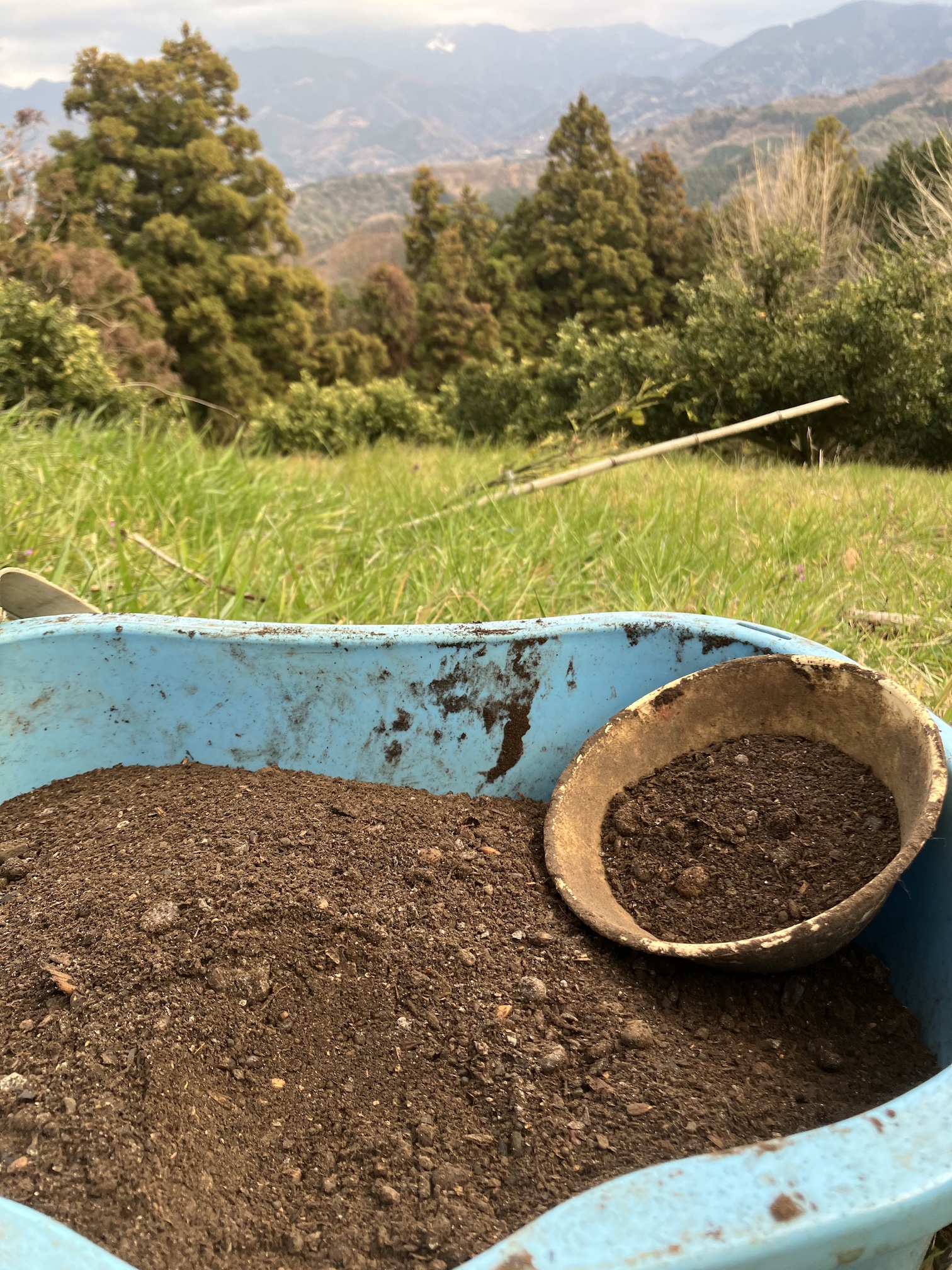 肥料もこれから🧑🌾