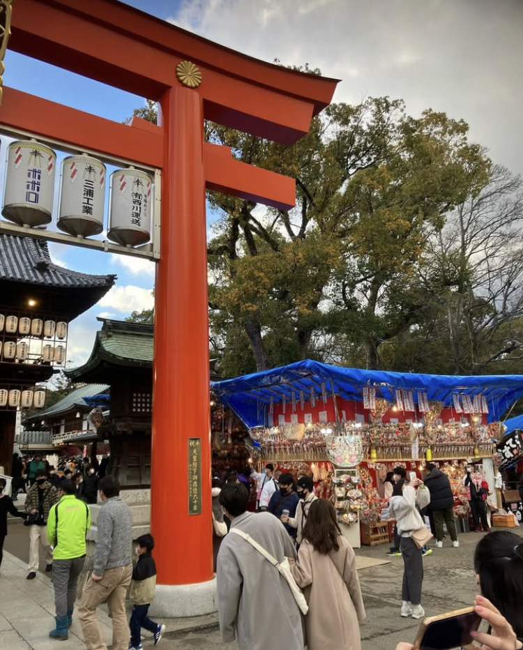 伊予路に春を呼ぶ椿さん⛩️