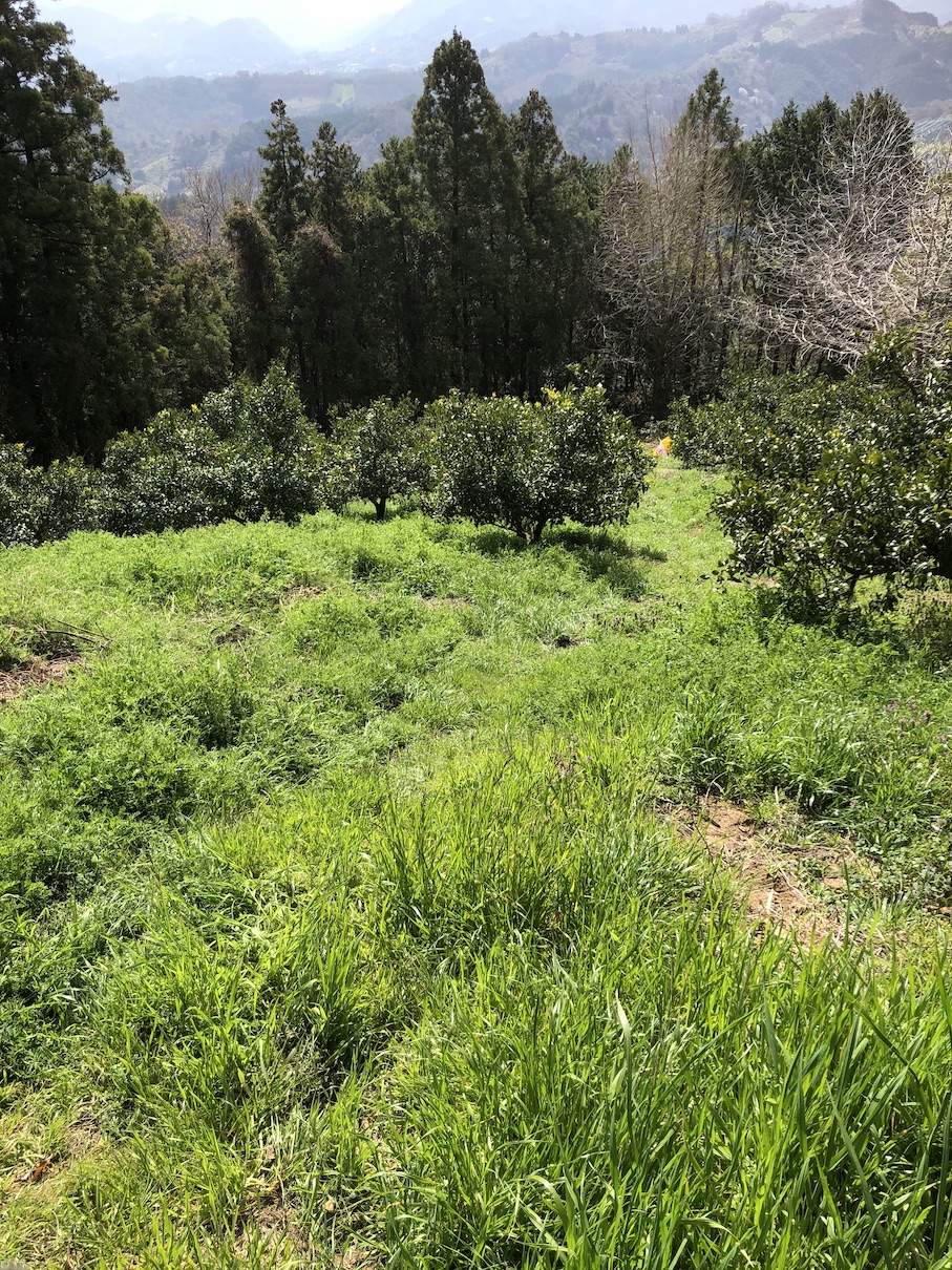 今年もこの季節が👩‍🌾