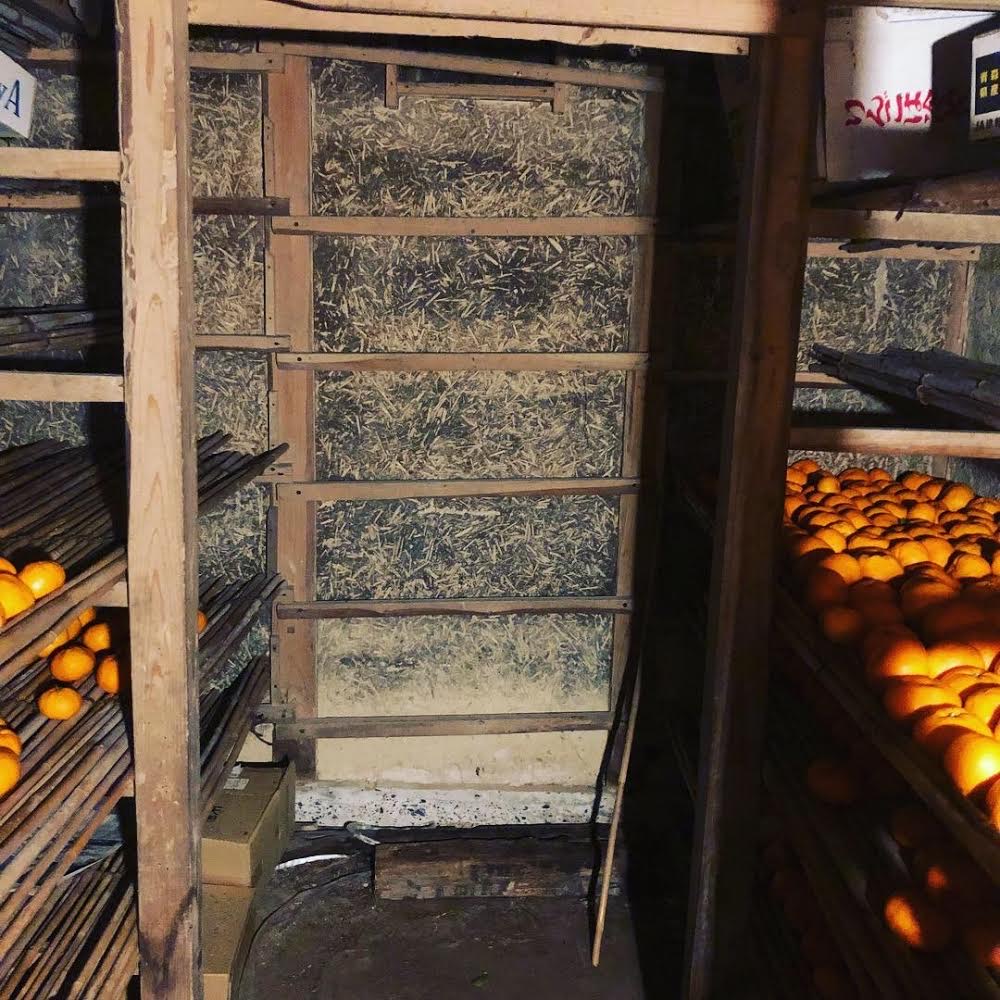 蔵出し柑橘🍊