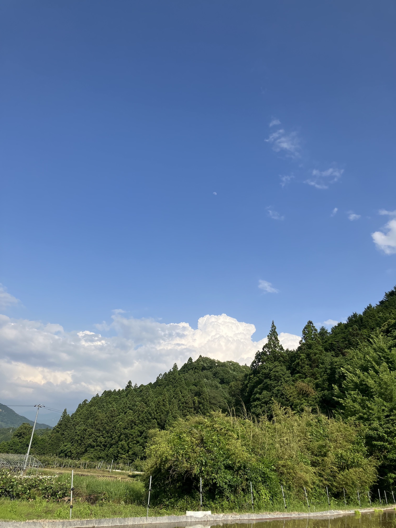 梅雨を通り越して夏の到来⁉️