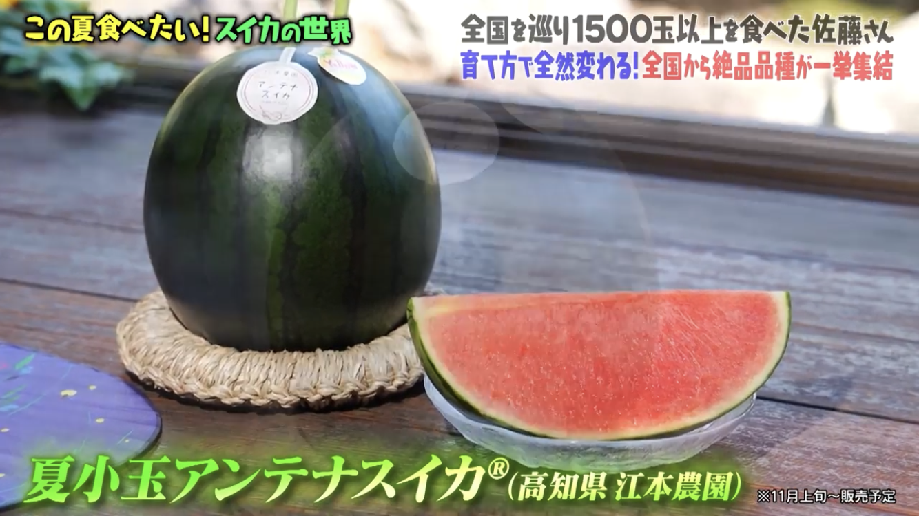 マツコの知らない世界に！