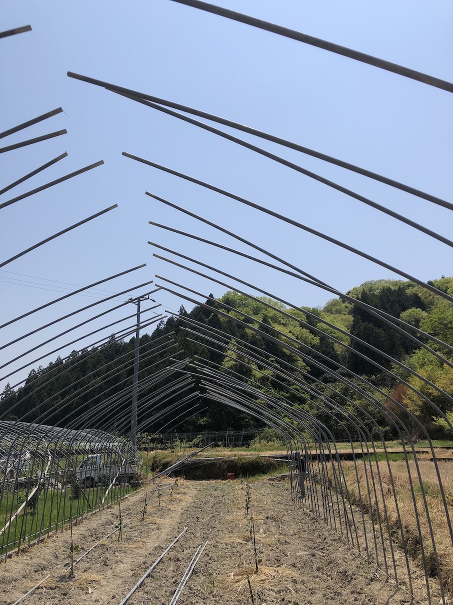ハウスを建てる