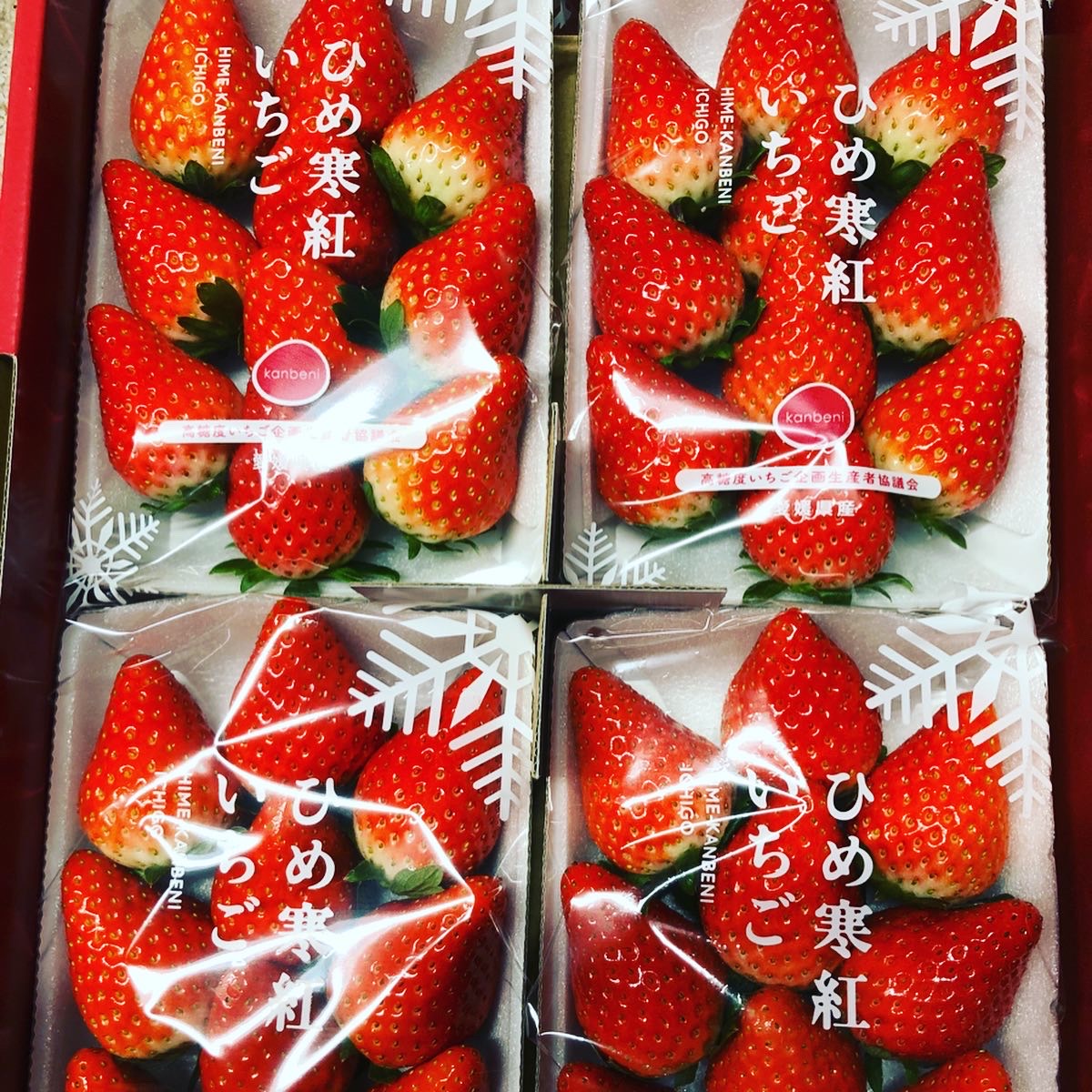 今期のひめ寒紅いちごの出荷が終了！