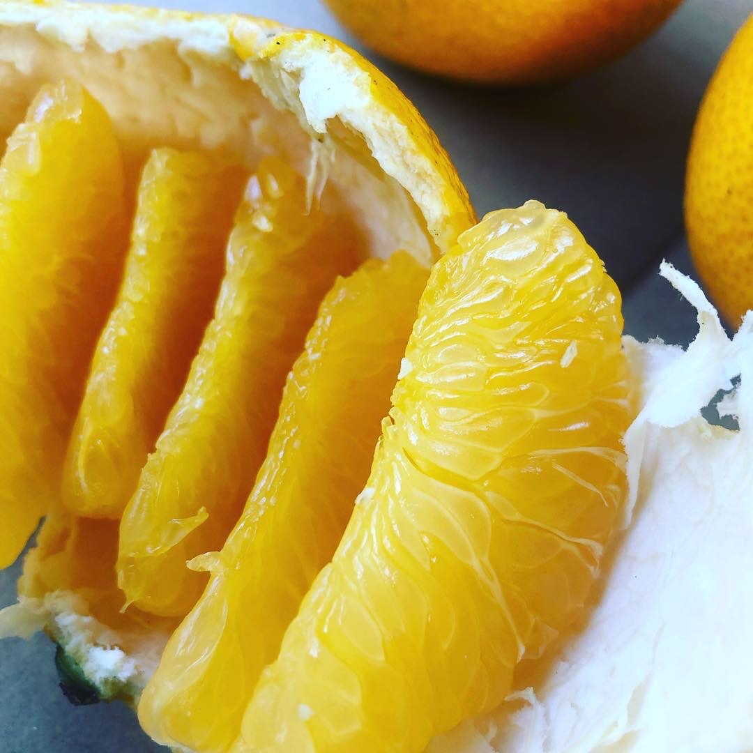 今年ははっさくもありそう🍊