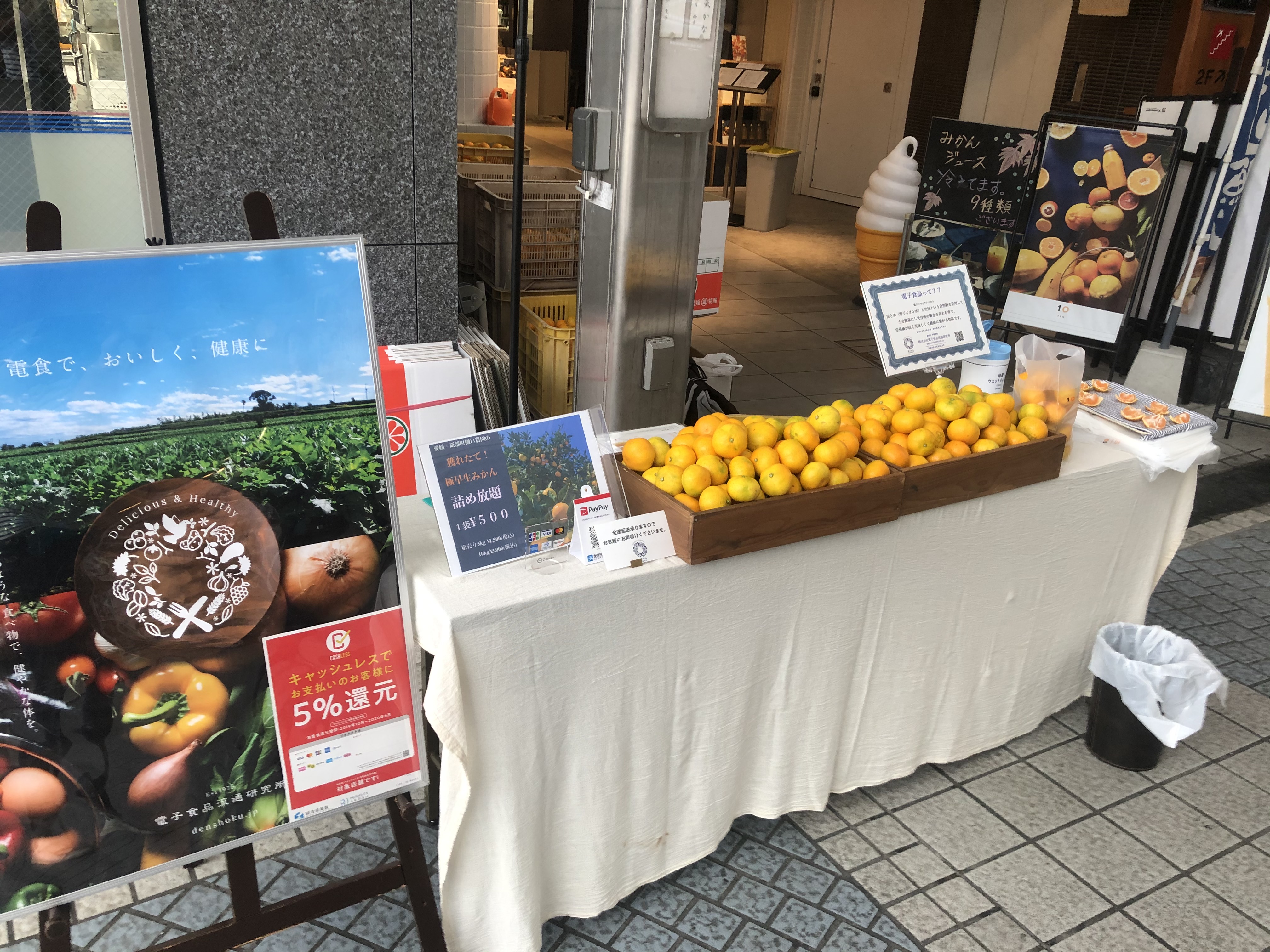 今日から柑橘販売イベント！