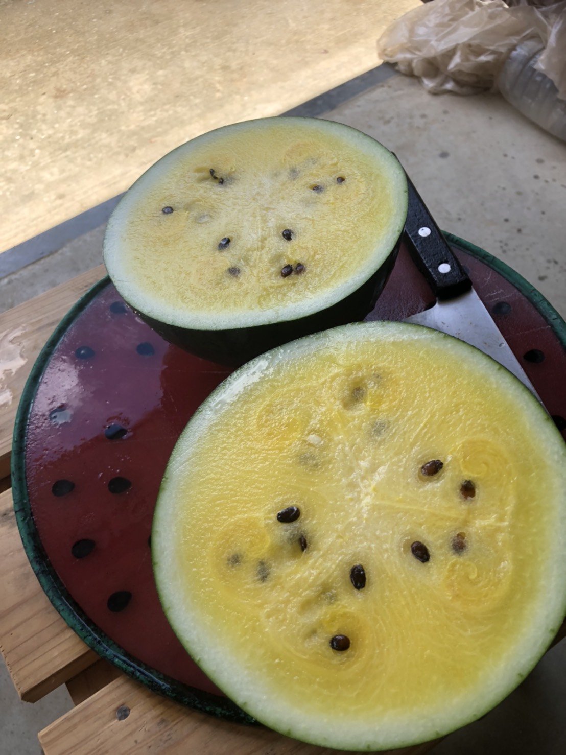 黄色のアンテナスイカ🍉📡