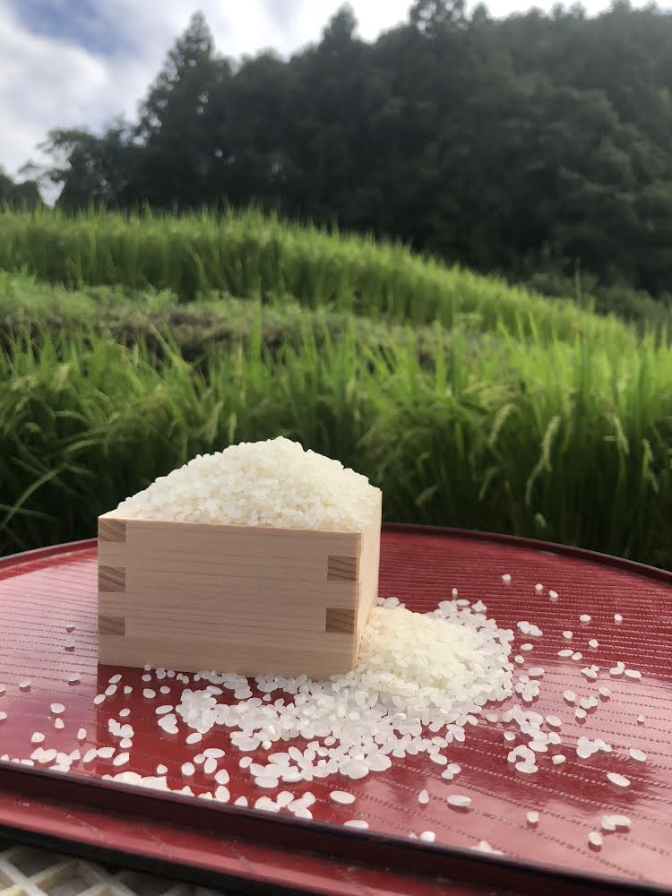 早速ご注文ありがとうございます🌾