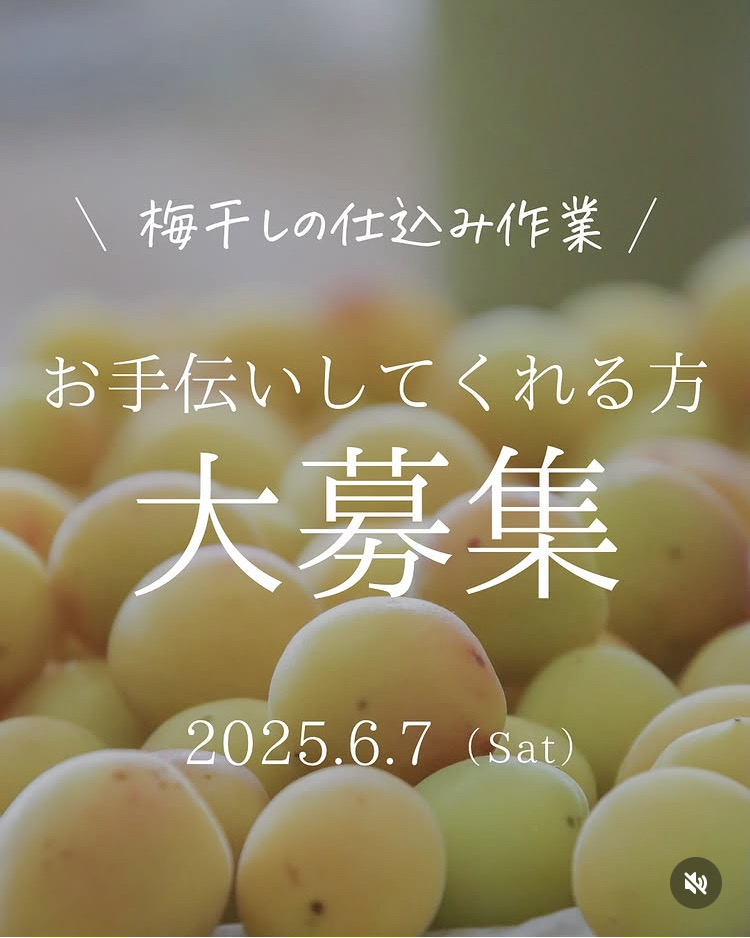 大募集！