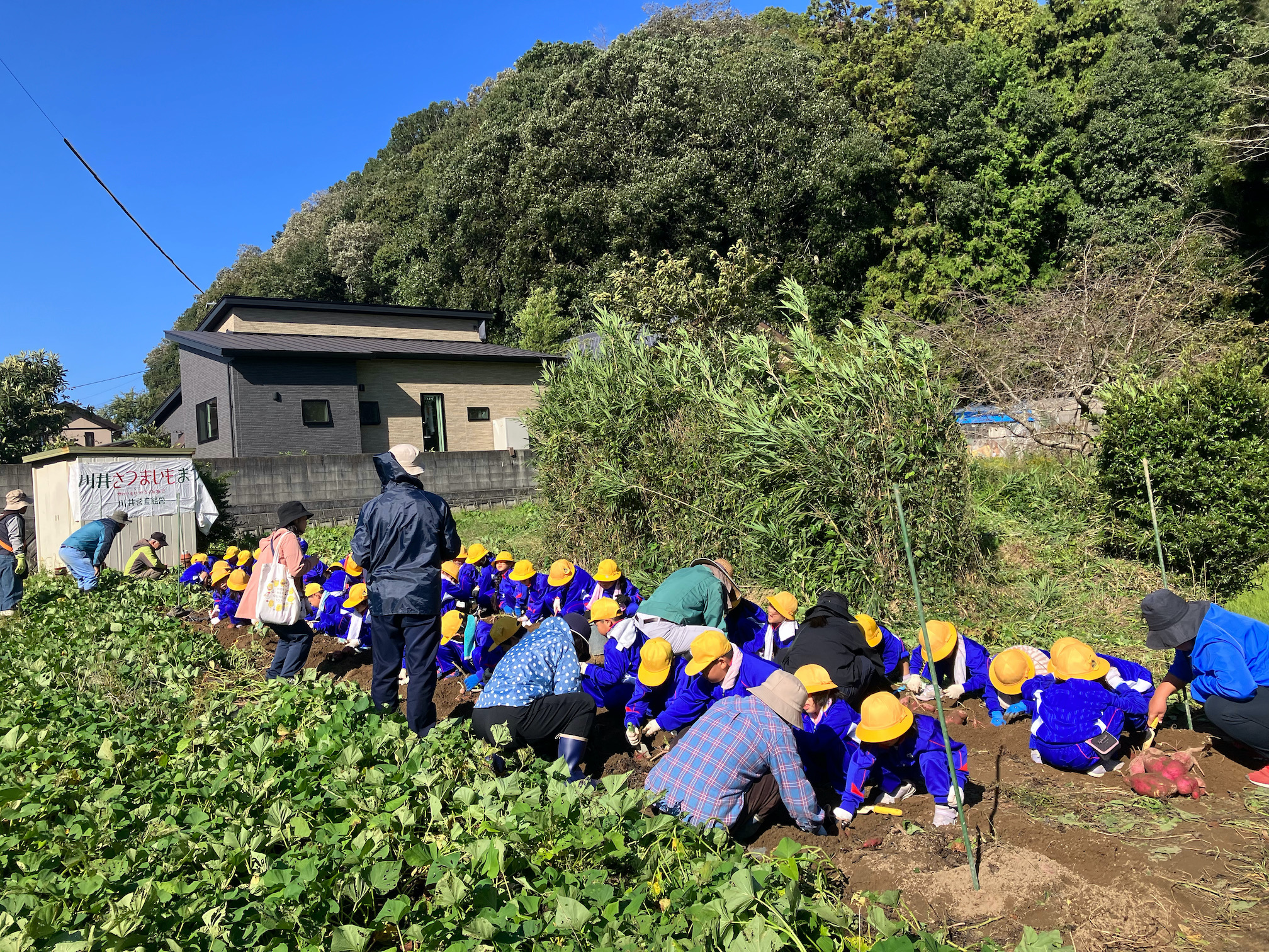 芋掘り体験🍠👦🧒