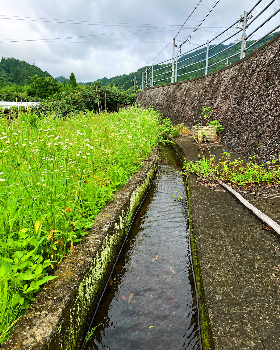 恵みの雨☂️✨