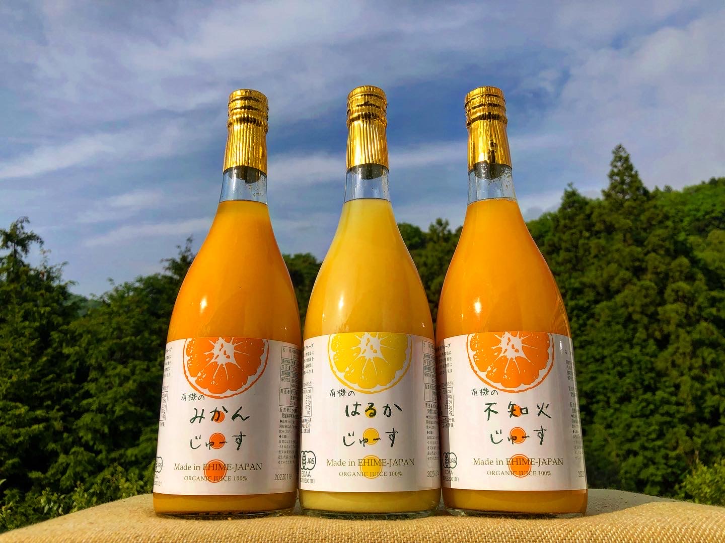 お中元にいかがでしょうか🍹