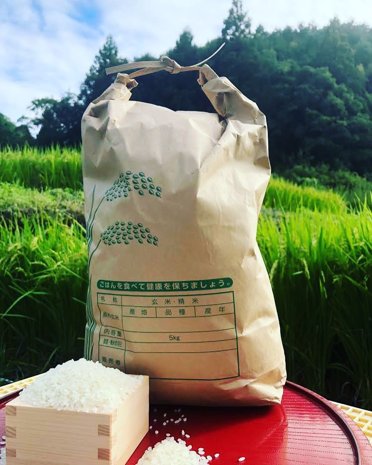 お知らせとお詫び🙇‍♂️🌾