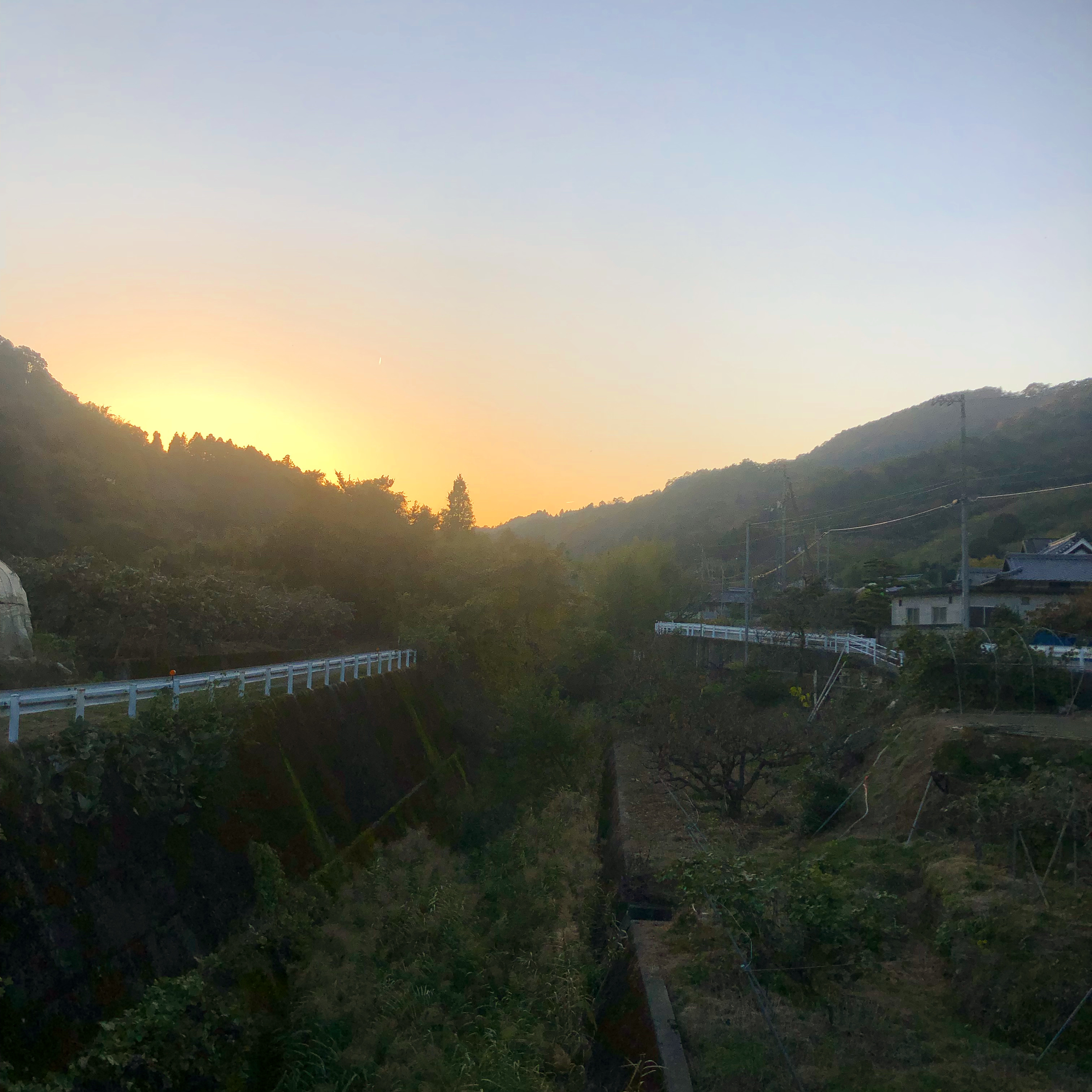 日が落ちるのが早くなりました🌇