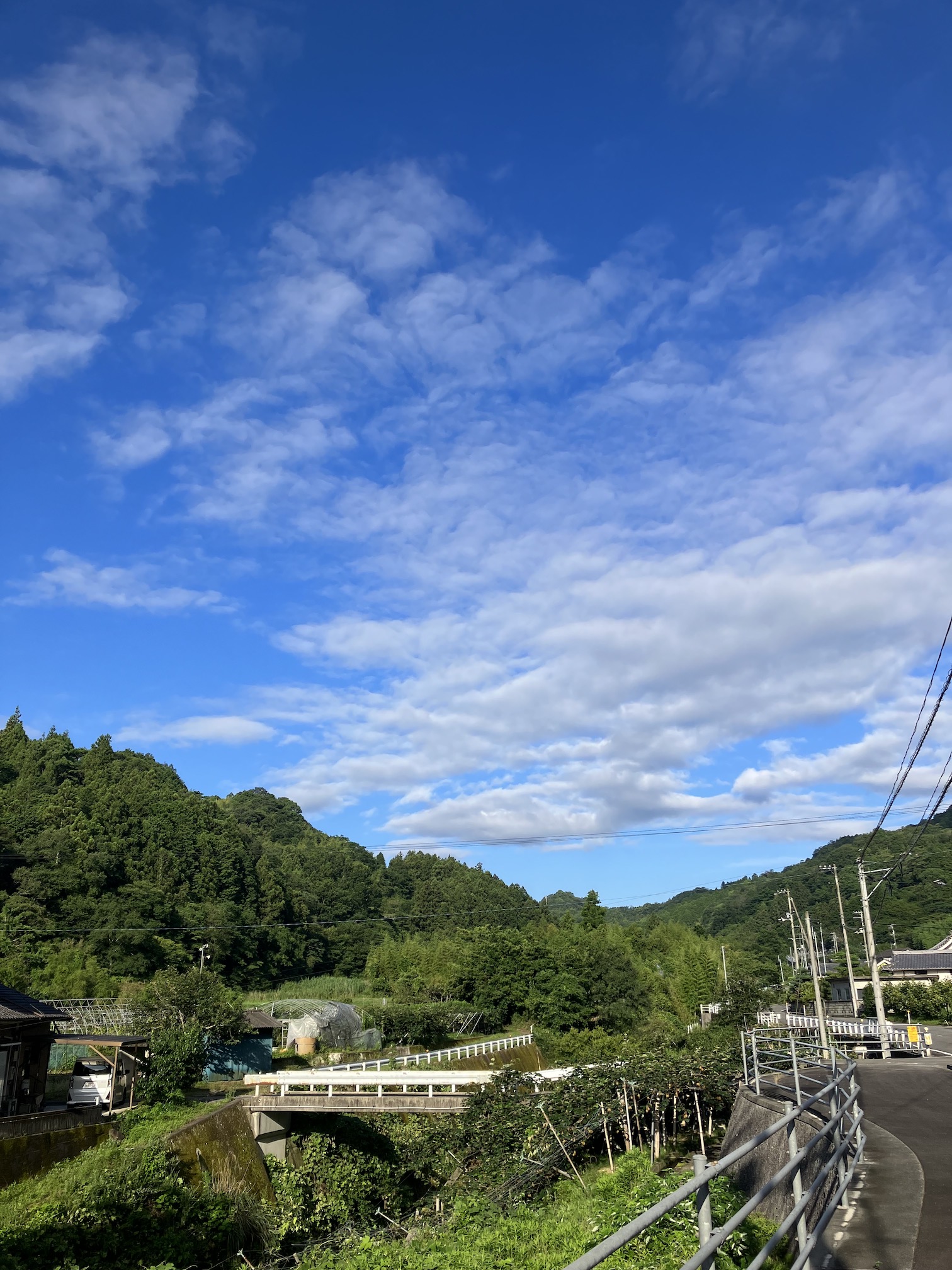 7月も今日で終わり！