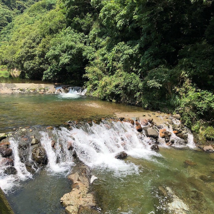 自然の涼を求めて🏞️