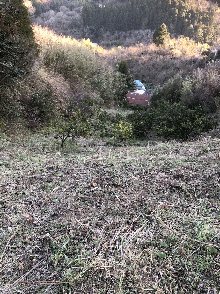景色が良くなってきました🌳✨