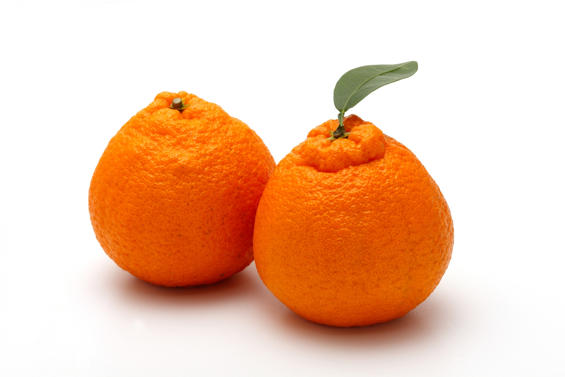 Sumo Citrusって何？？🍊