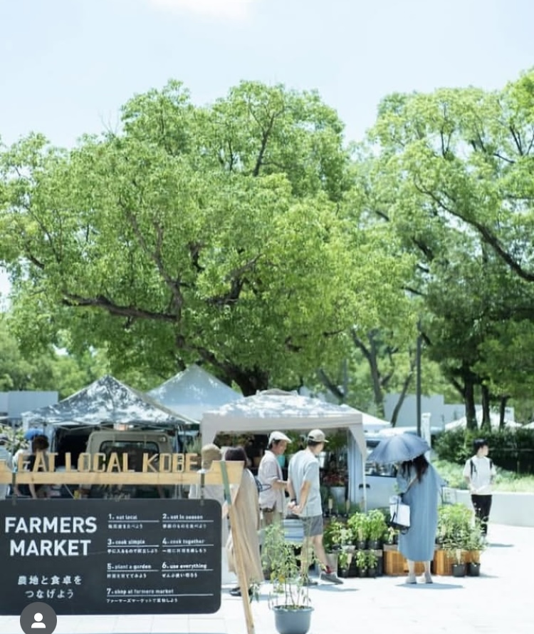 FARMERS MARKET 出店のお知らせ
