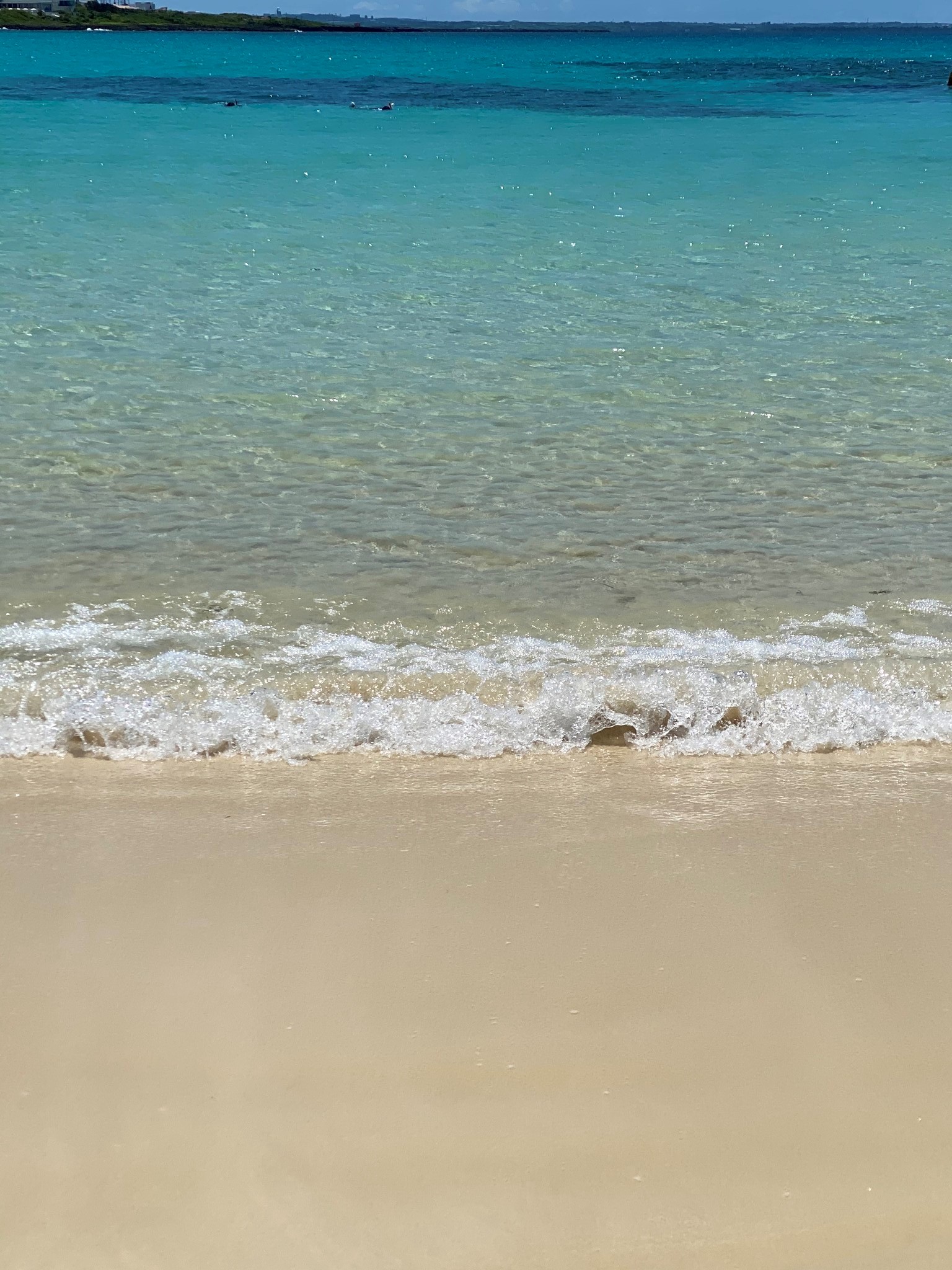 2周年記念のキャンペーンのお知らせ