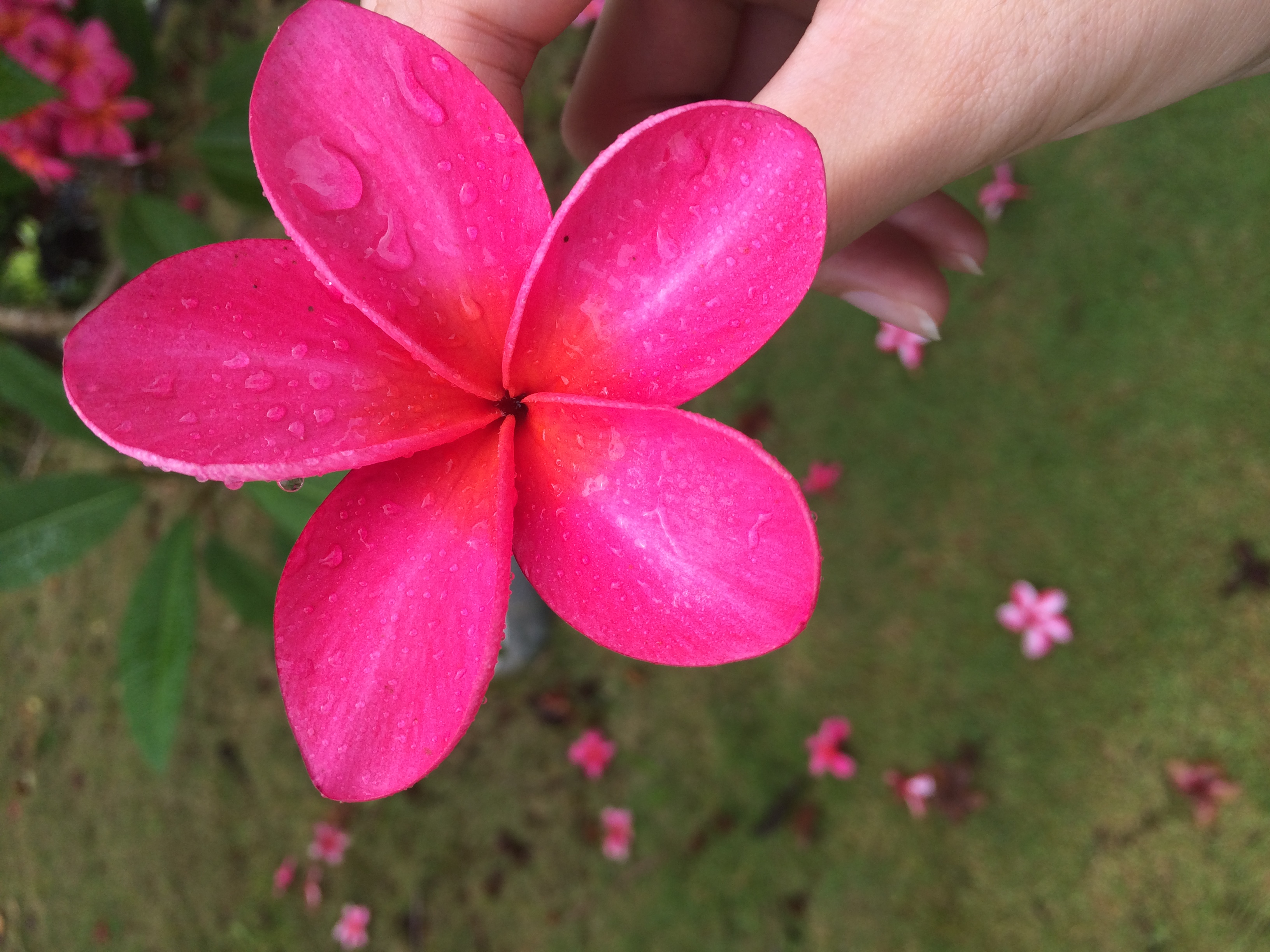 アンダラクリスタル 展示会即売会をやります！