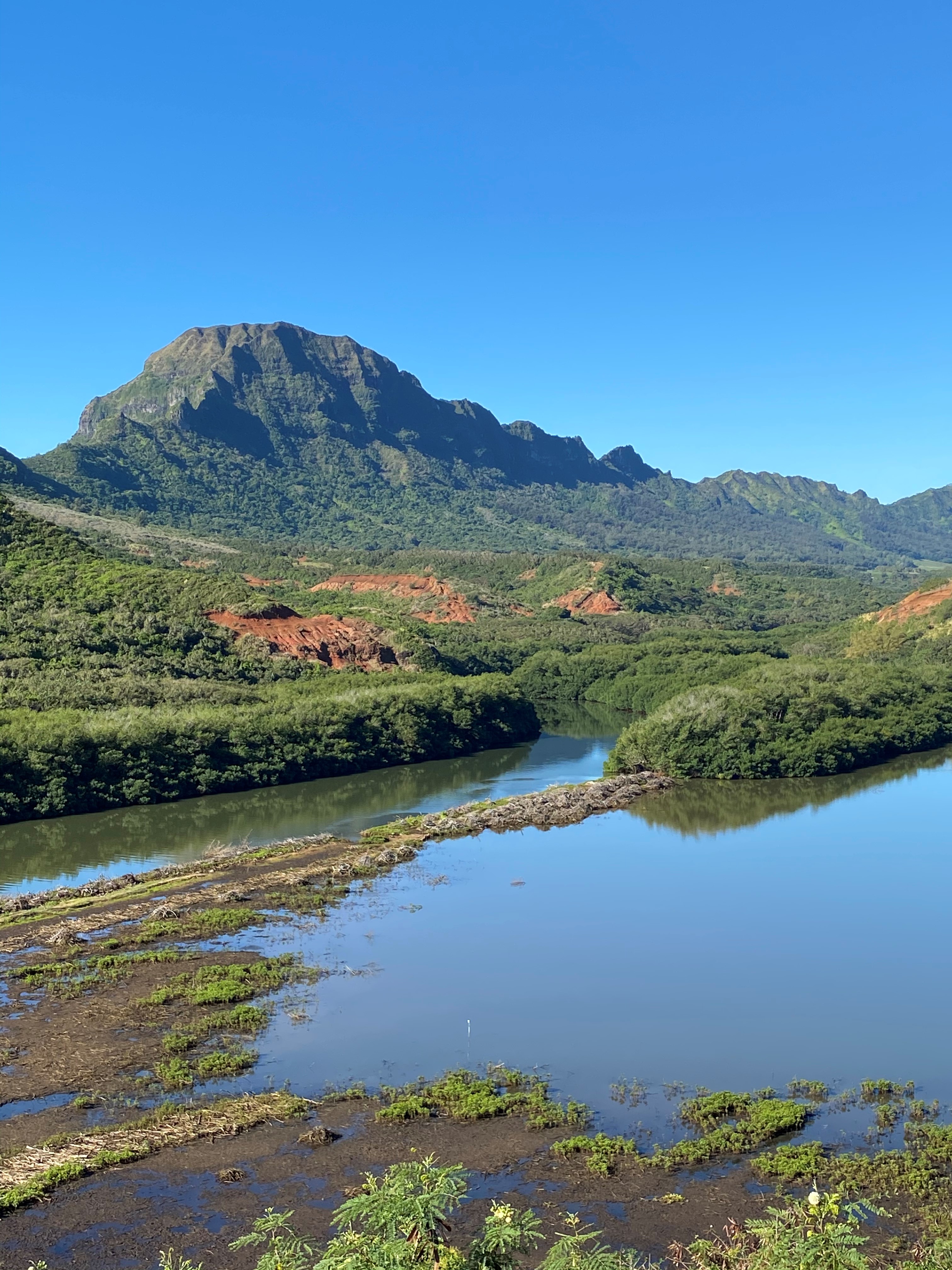 【カウアイ島旅】④旅を終えて～エピローグ