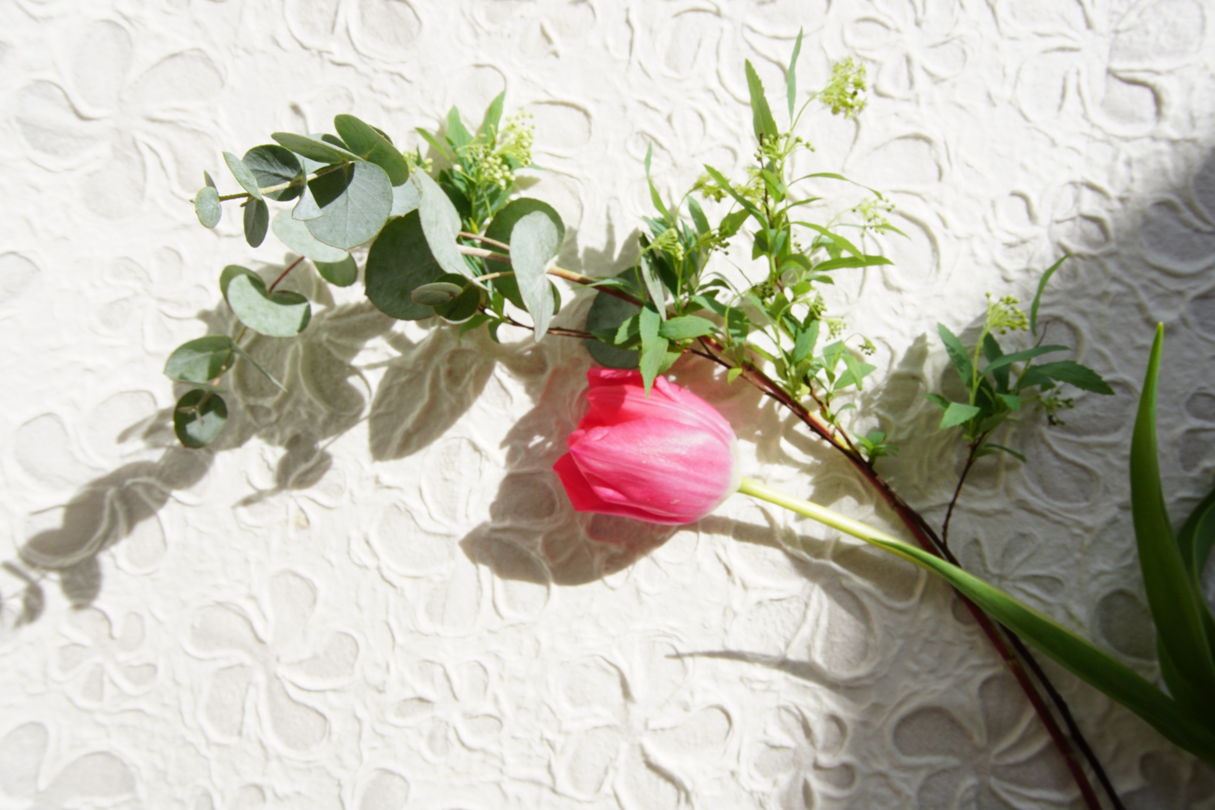 【募集開始】6/20&21 一斉遠隔ヒーリング(無料／有料)