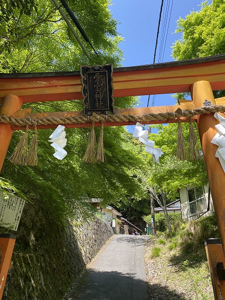 愛宕山登山～You 愛宕山登っちゃいなよ