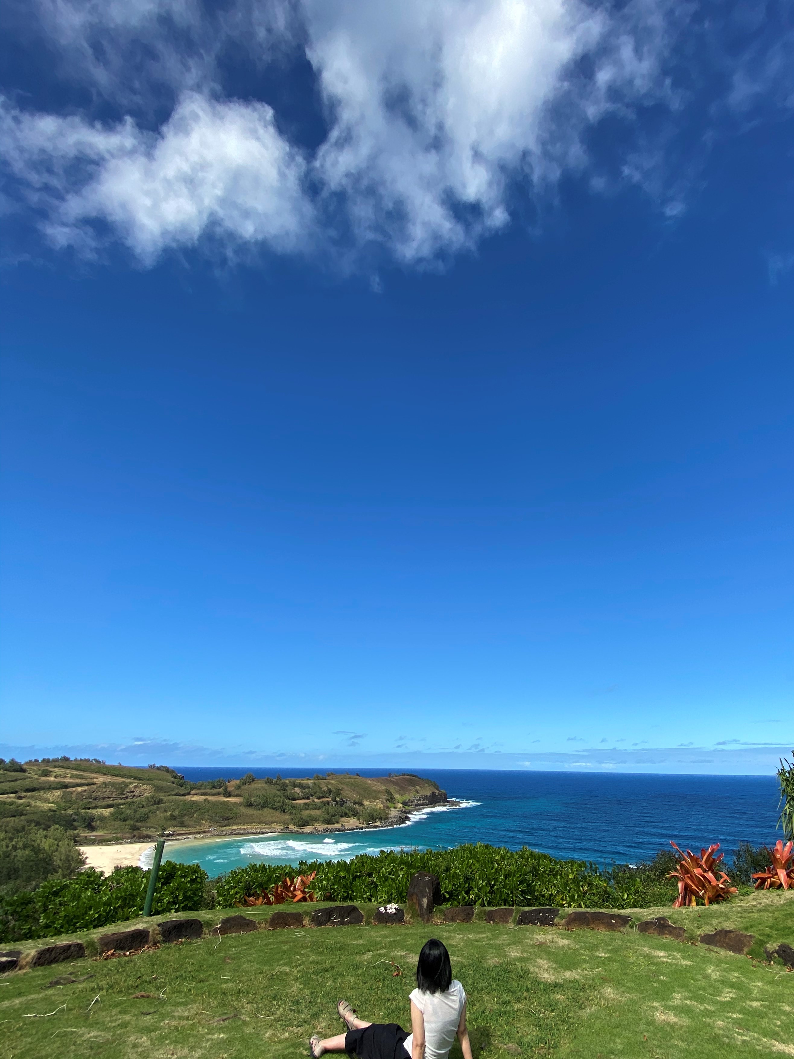 【カウアイ島旅】③神聖な土に触れて〜タロイモ畑と、フラワーレメディー
