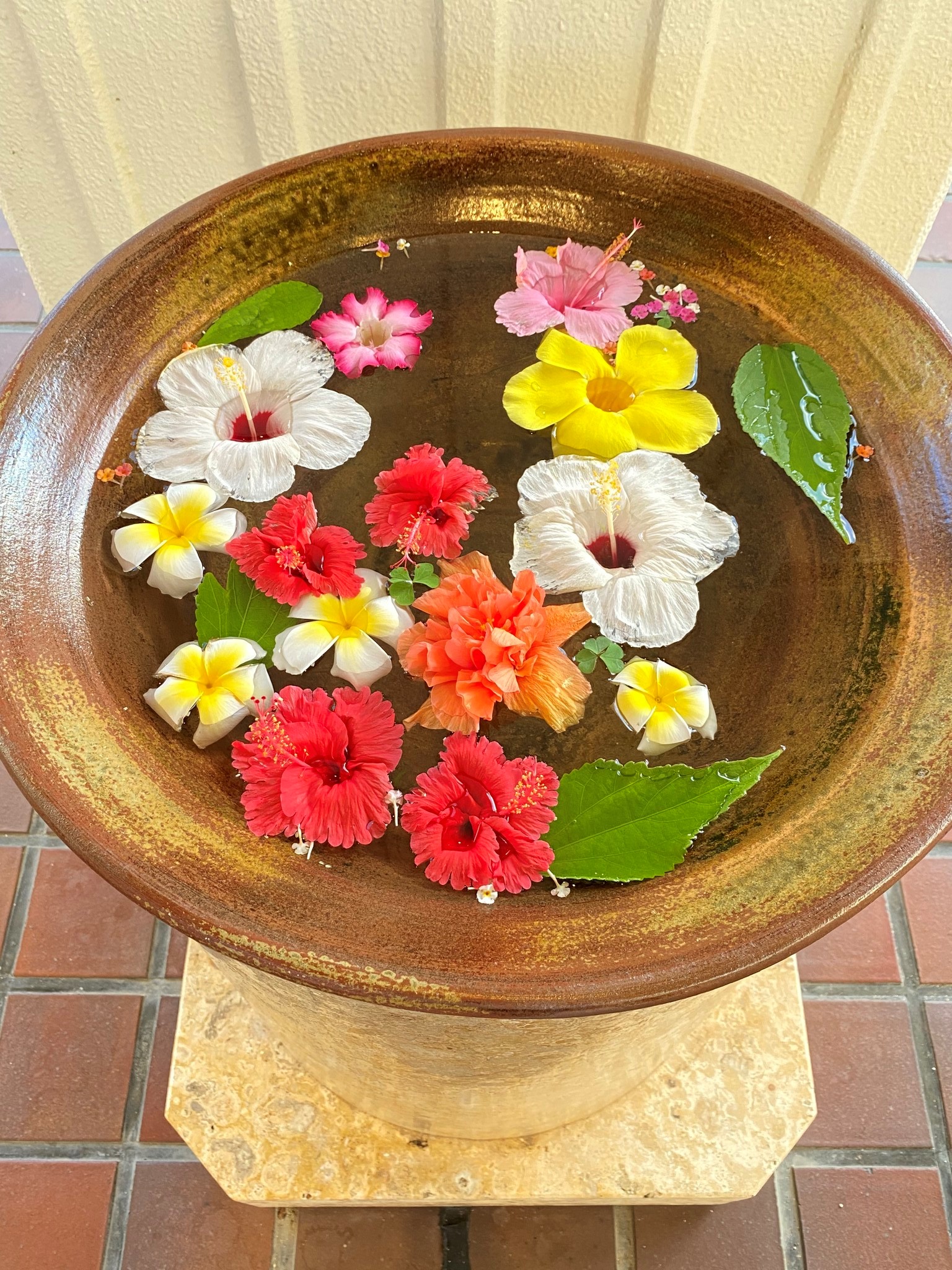 メールマガジン始めます。