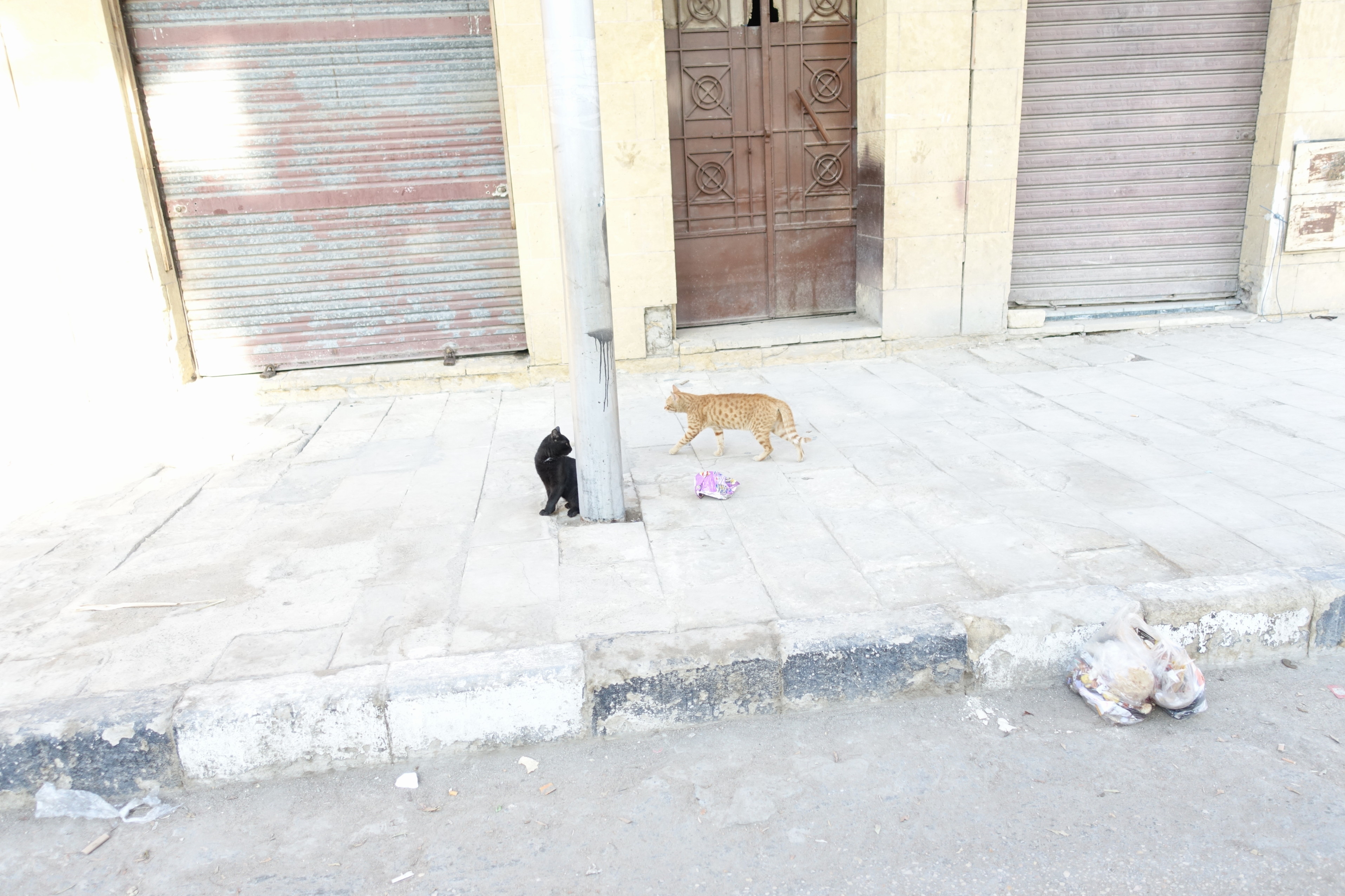 【エジプトリトリート②】女神の子守歌～デンデラ神殿