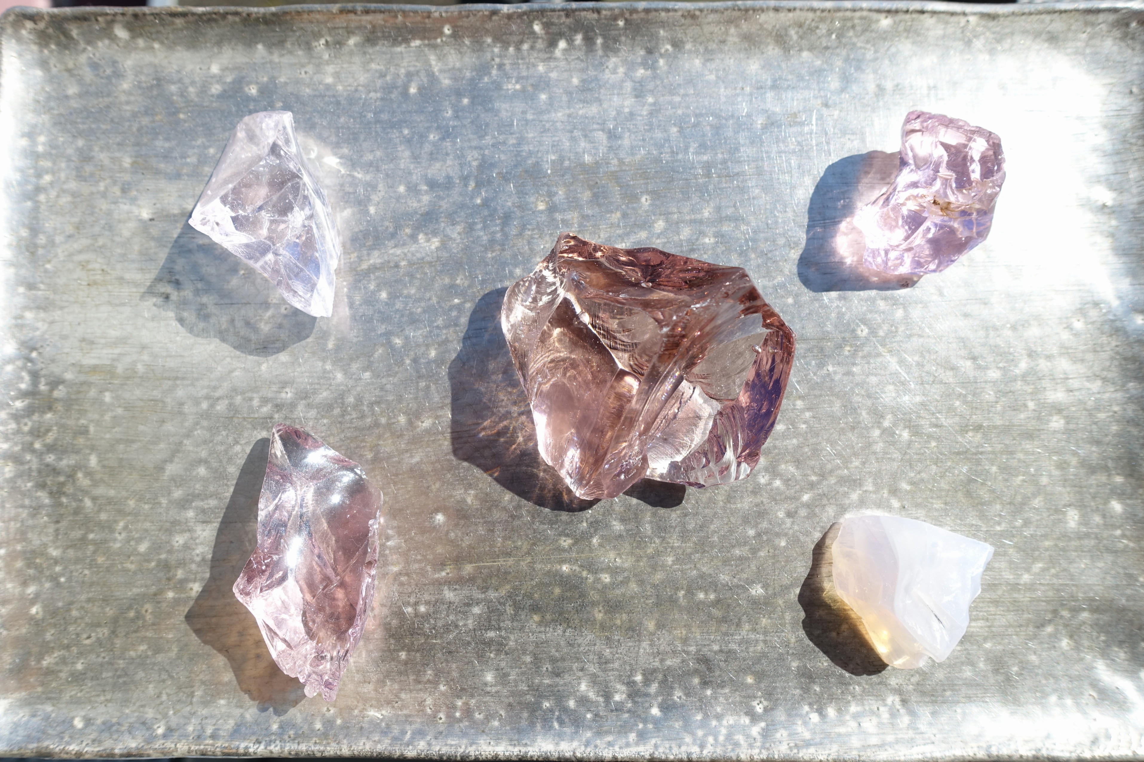 ピンク祭り第2弾